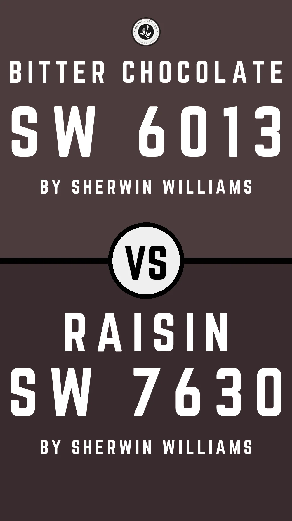 Bitter Chocolate SW 6013 vs Raisin SW 7630
