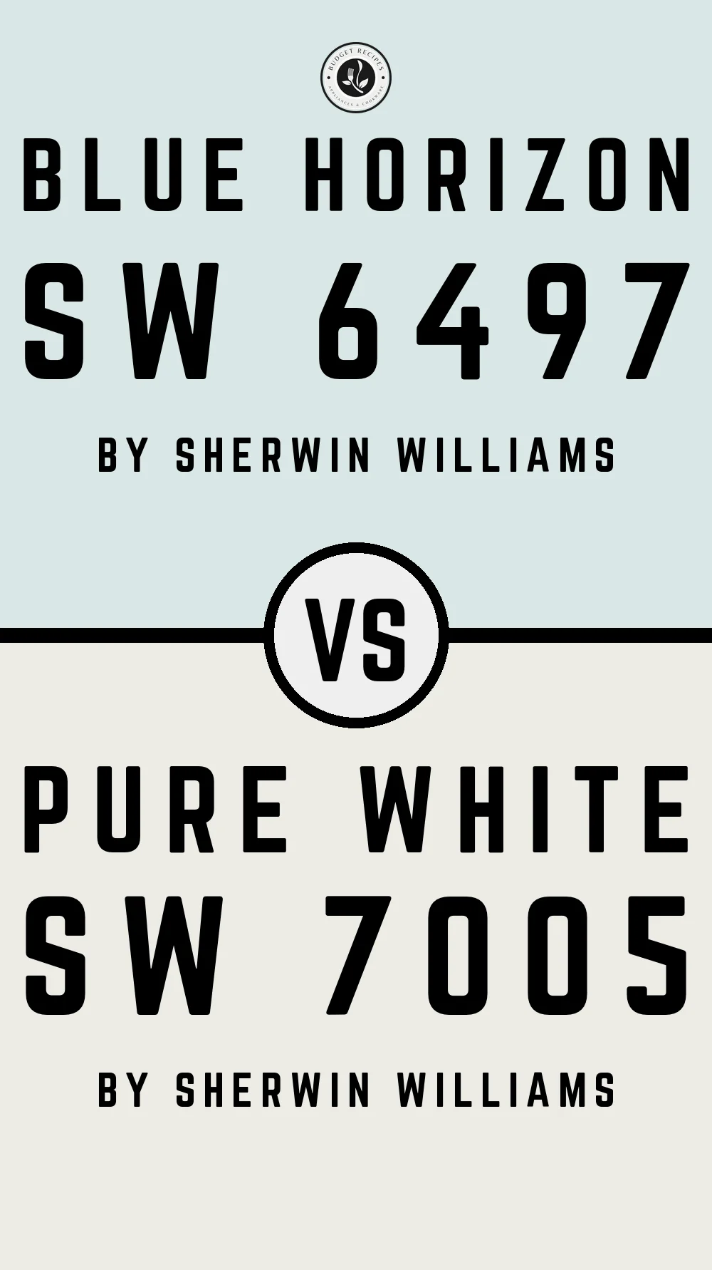 Blue Horizon SW 6497 vs Pure White SW 7005