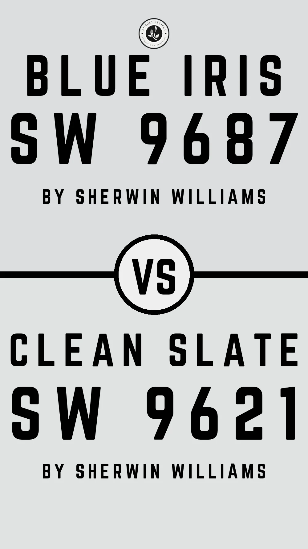 Blue Iris SW 9687 vs Clean Slate SW 9621
