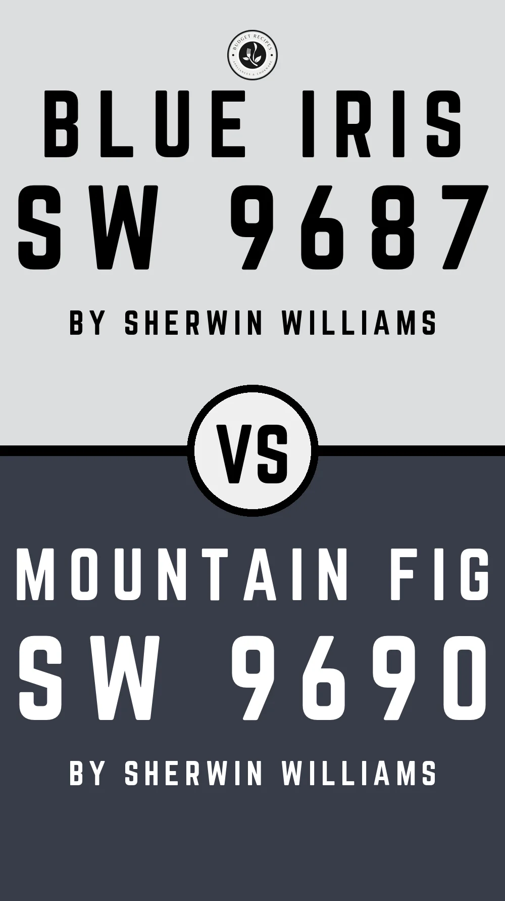 Blue Iris SW 9687 vs Mountain Fig SW 9690