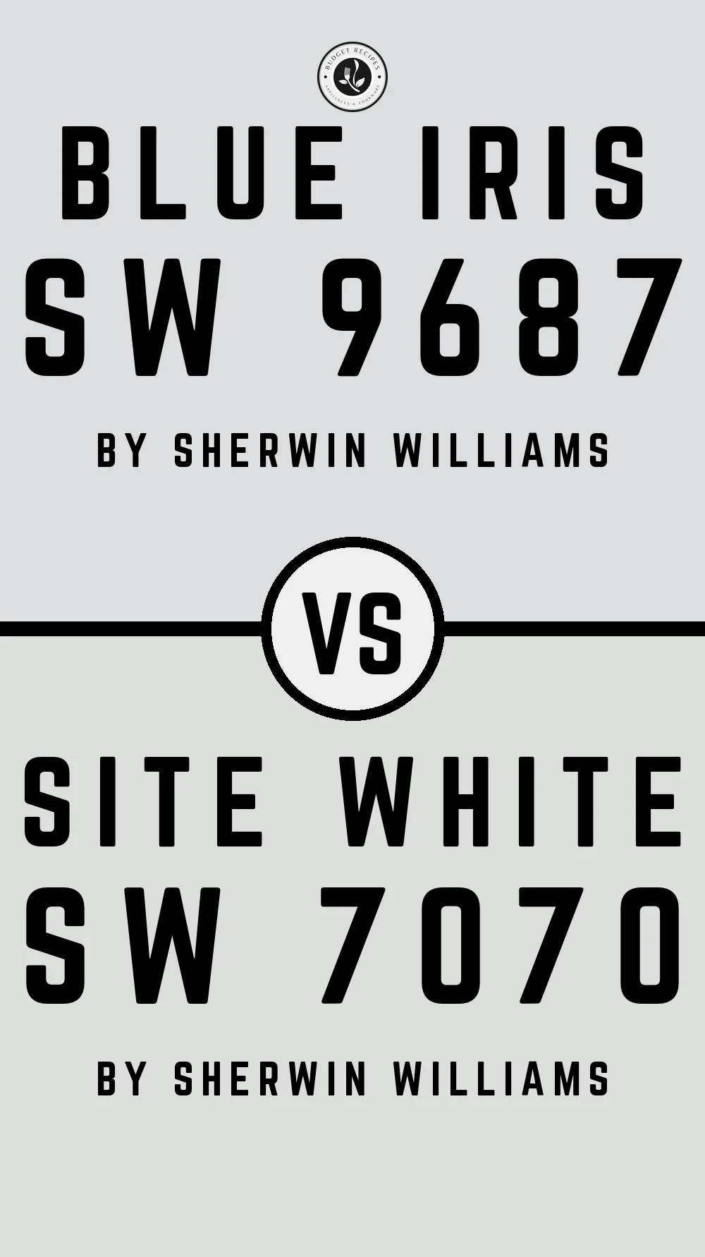 Blue Iris SW 9687 vs Site White SW 7070