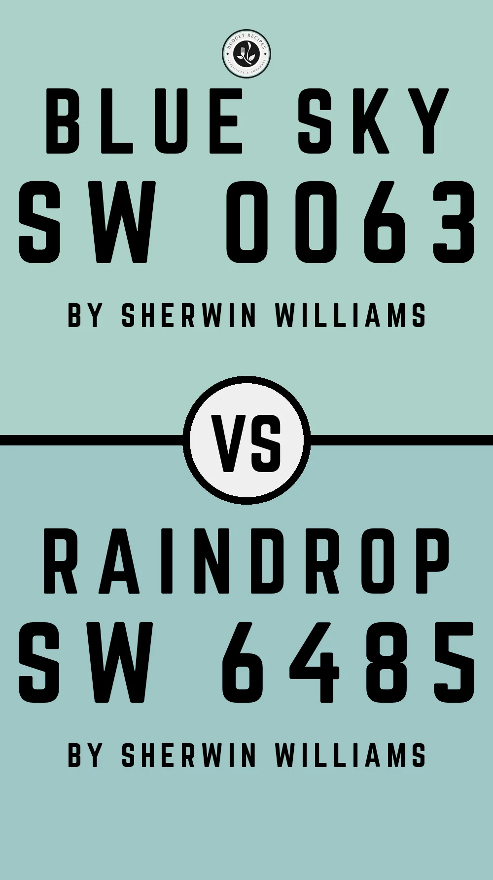 Blue Sky SW 0063 vs Raindrop SW 6485