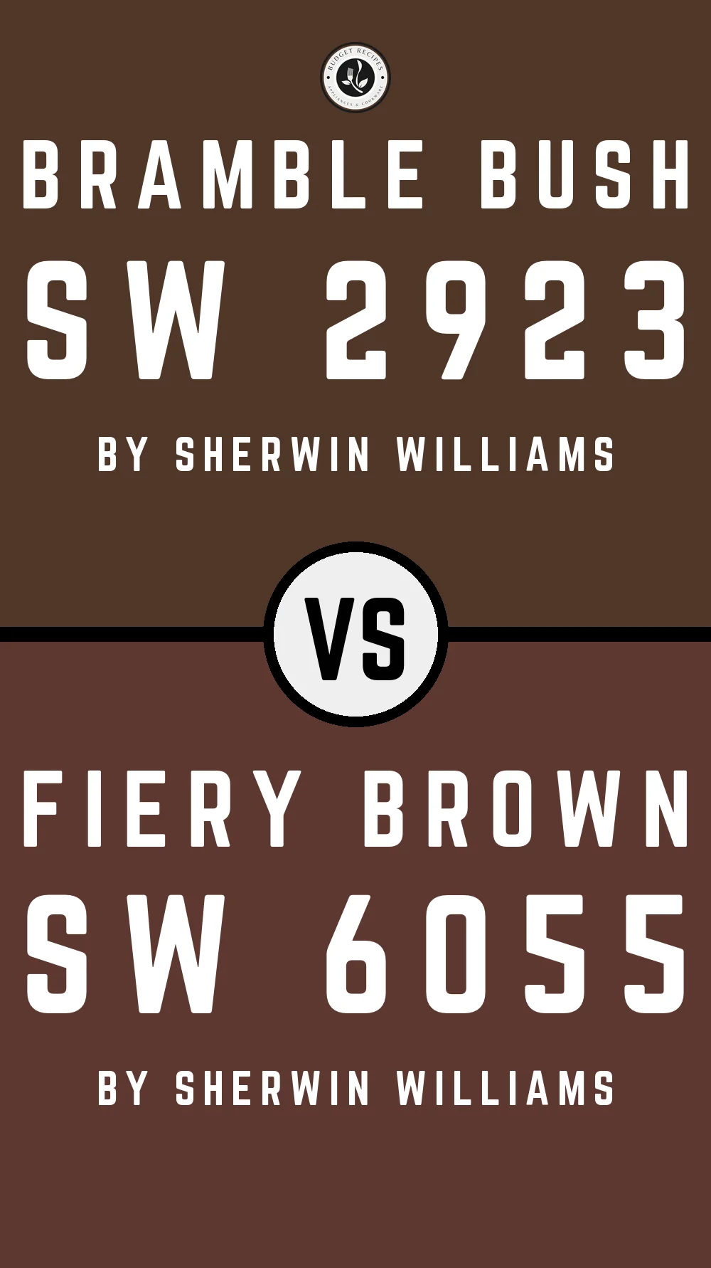 Bramble Bush SW 2923 vs Fiery Brown SW 6055