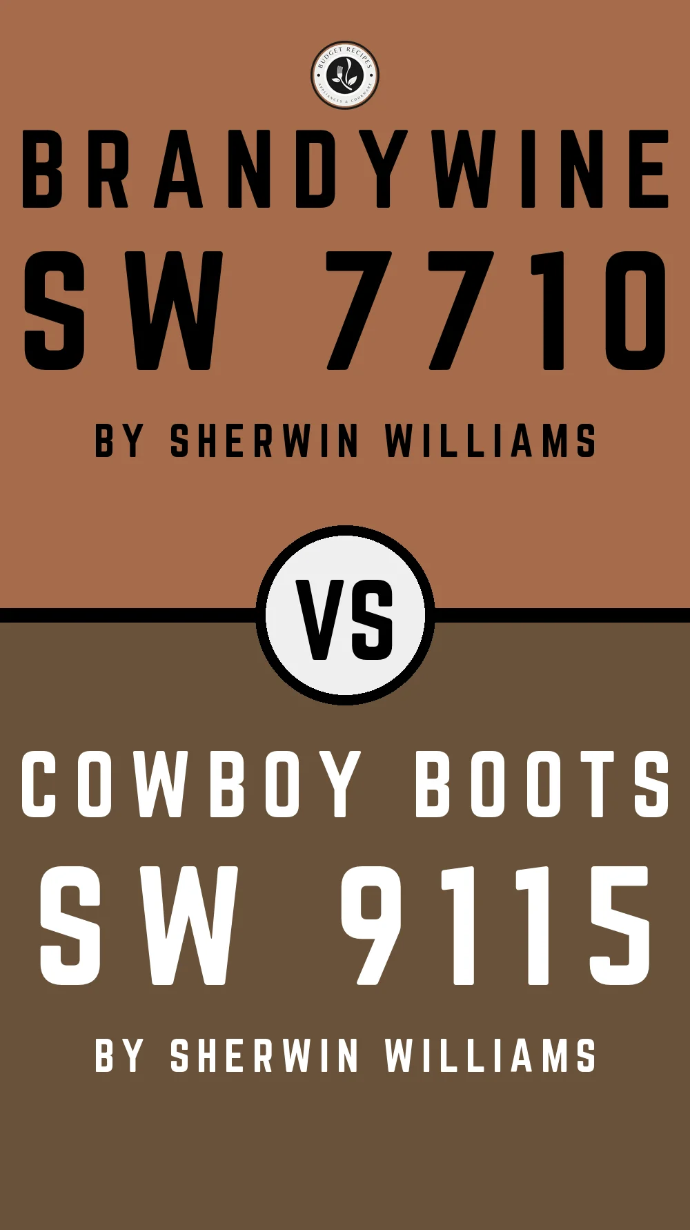 Brandywine SW 7710 vs Cowboy Boots SW 9115