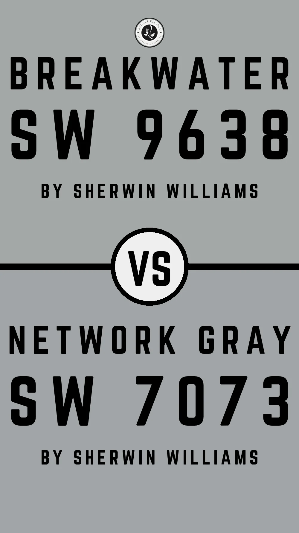 Breakwater SW 9638 vs Network Gray SW 7073