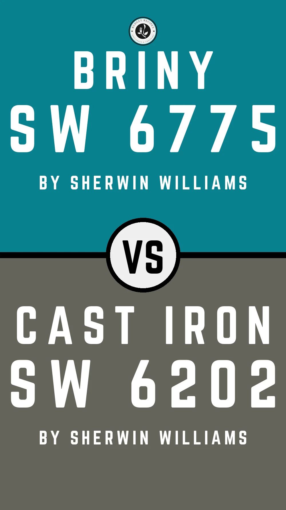 Briny SW 6775 vs Cast Iron SW 6202