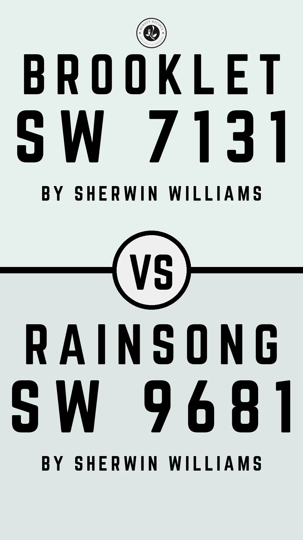 Brooklet SW 7131 vs Rainsong SW 9681