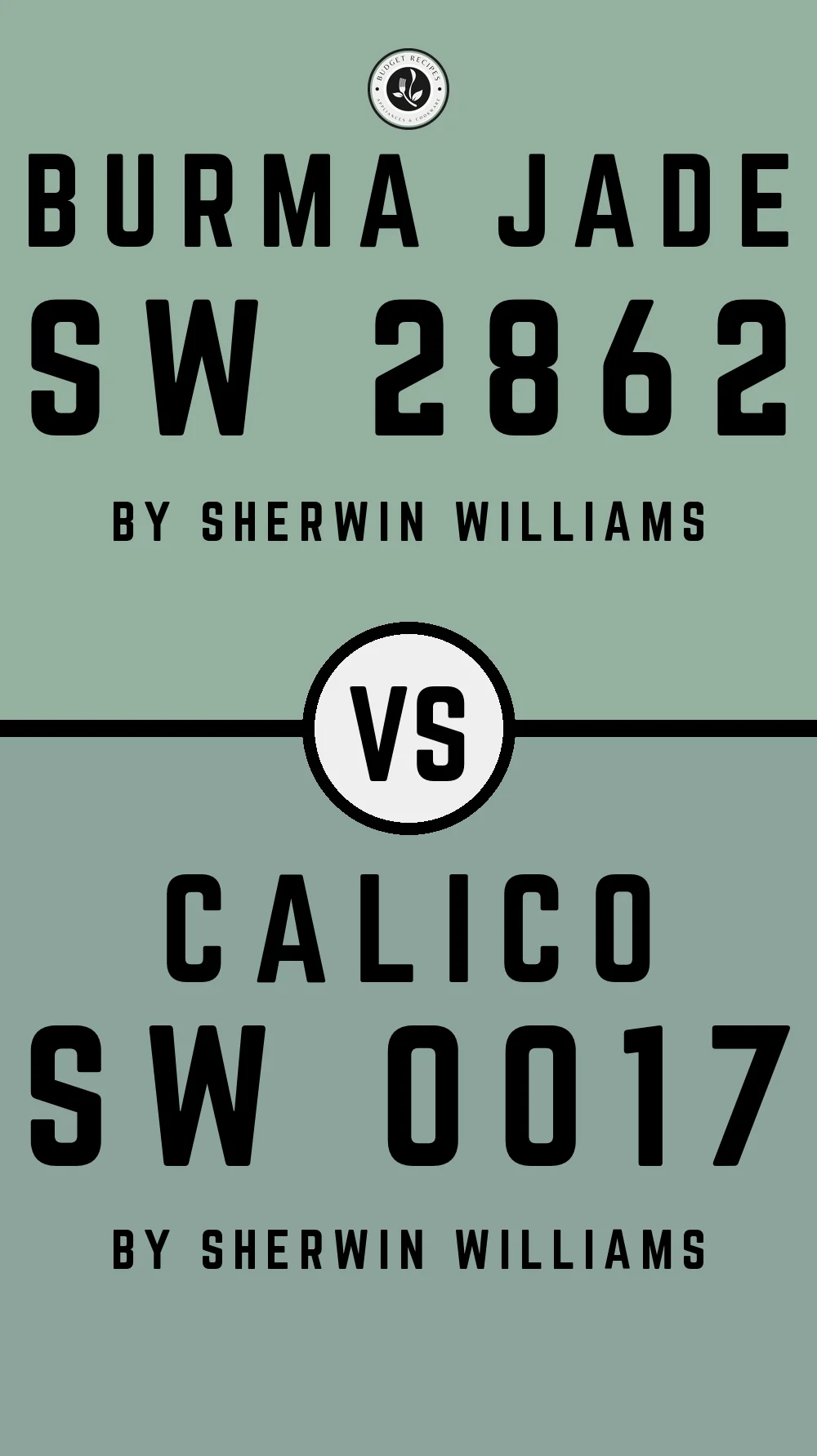 Burma Jade SW 2862 vs Calico SW 0017