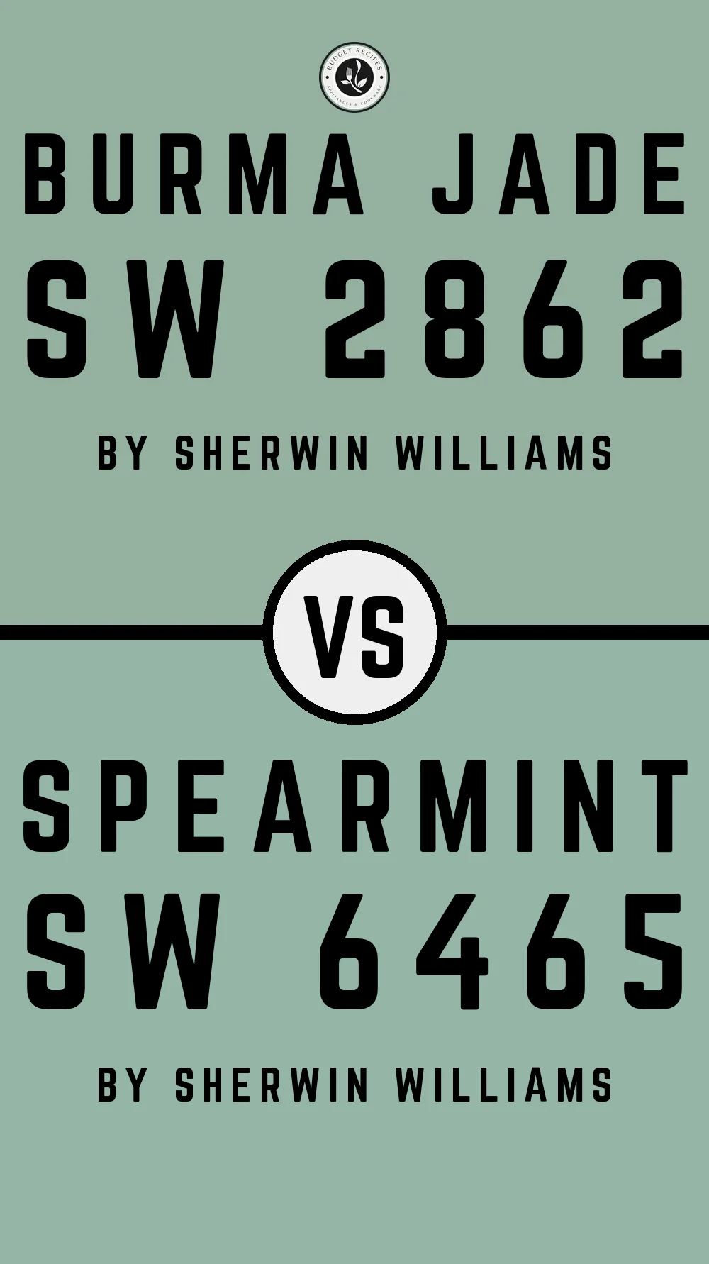 Burma Jade SW 2862 vs Spearmint SW 6465