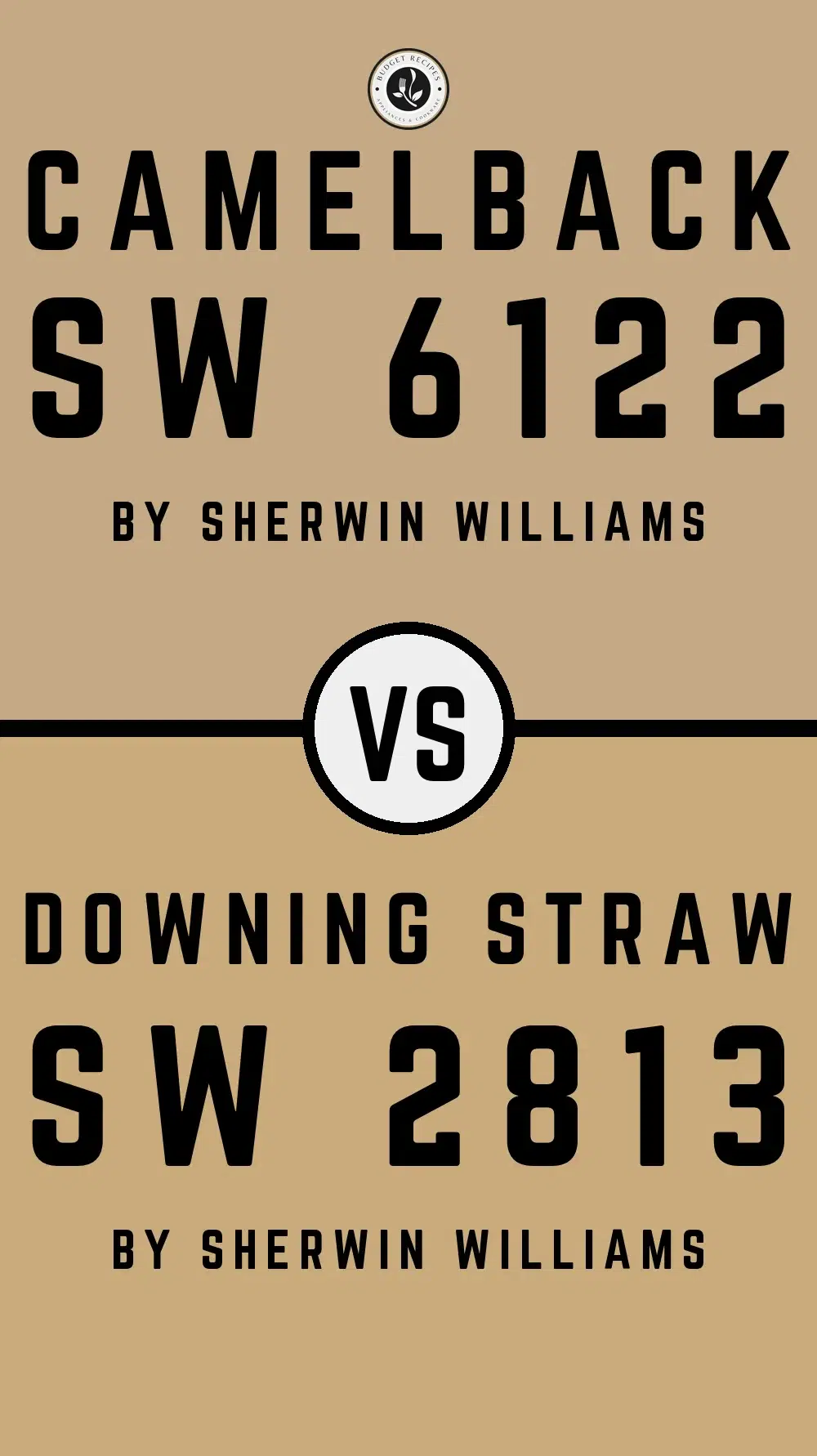 Camelback SW 6122 vs Downing Straw SW 2813