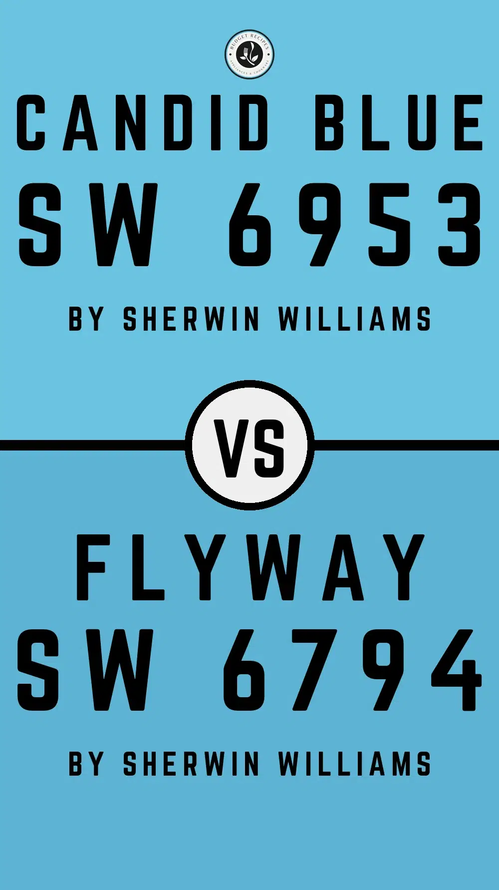 Candid Blue SW 6953 vs Flyway SW 6794