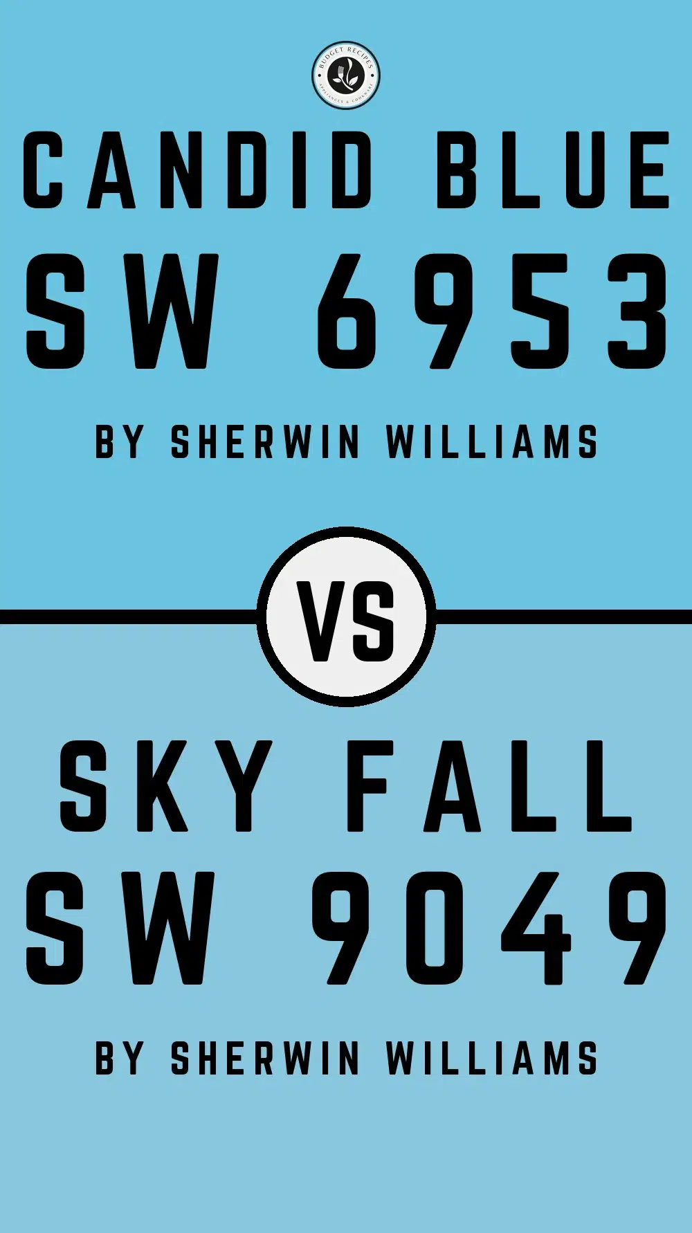 Candid Blue SW 6953 vs Sky Fall SW 9049