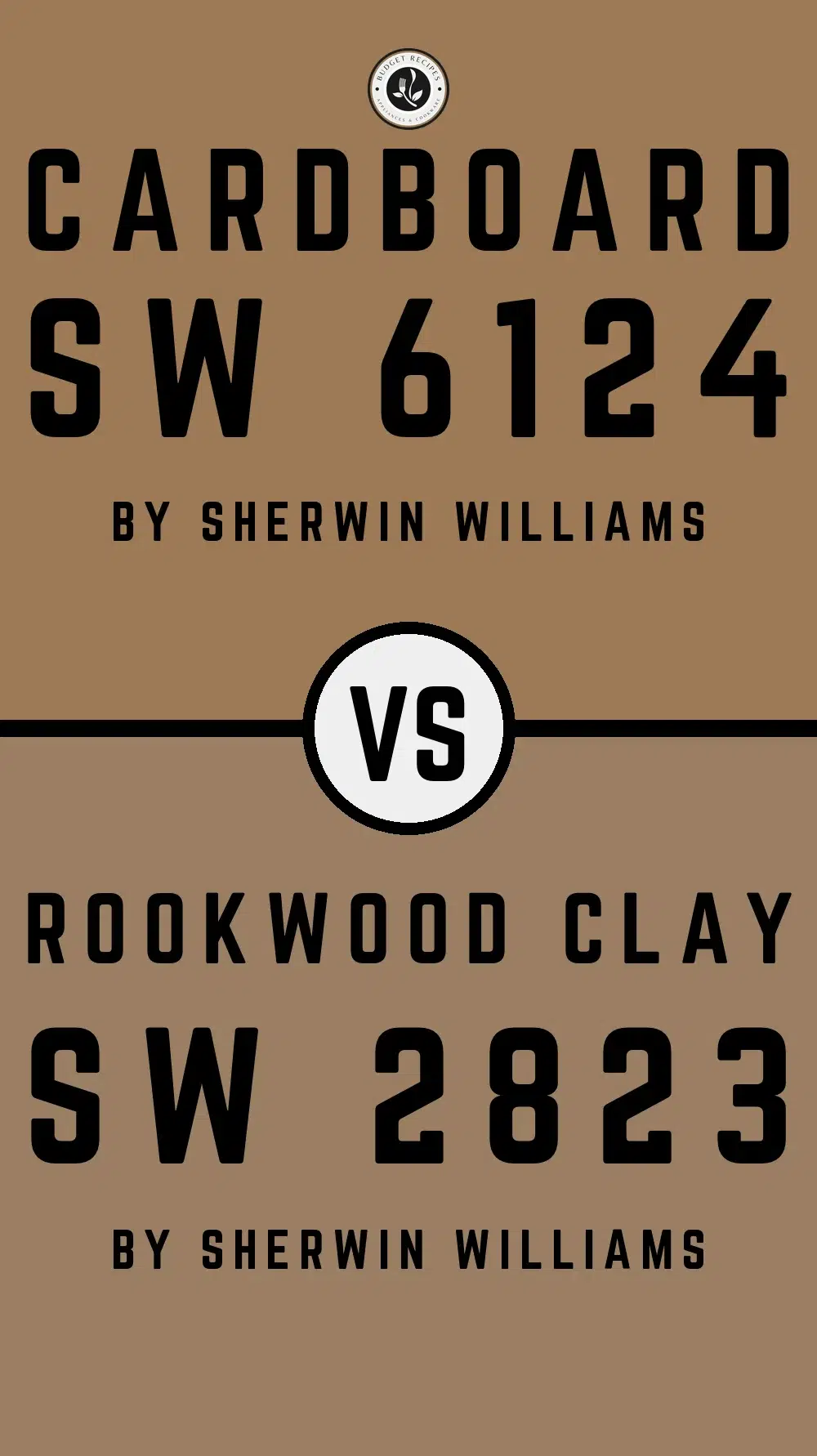 Cardboard SW 6124 vs Rookwood Clay SW 2823