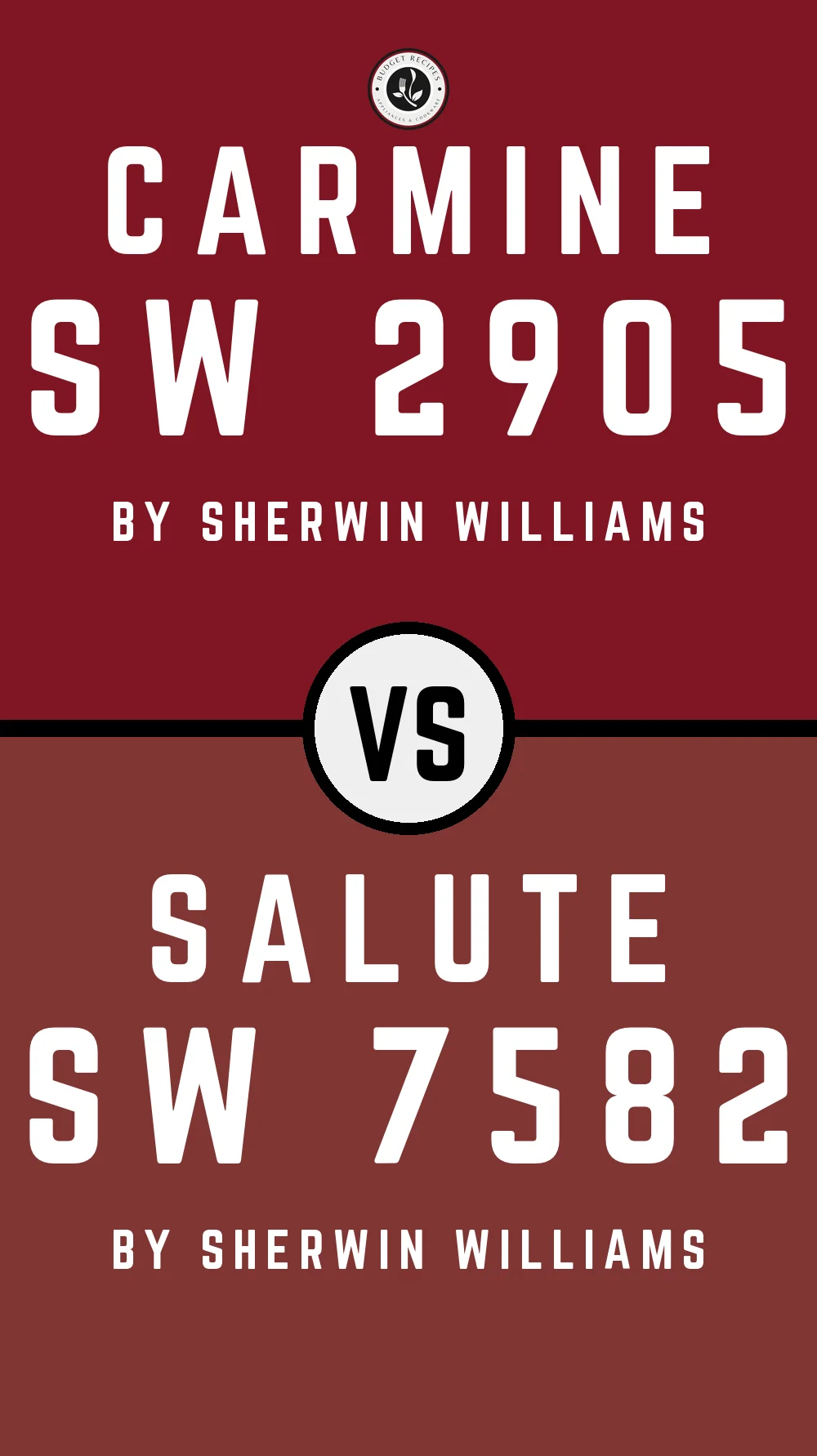 Carmine SW 2905 vs Salute SW 7582