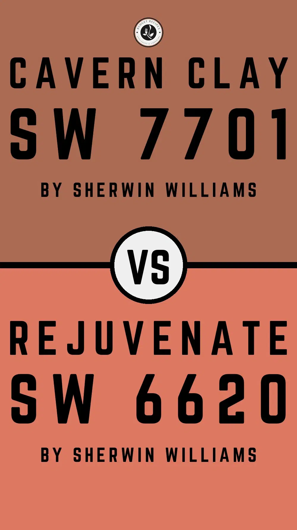 Cavern Clay by Sherwin Williams SW 7701 With Rejuvenate SW 6620