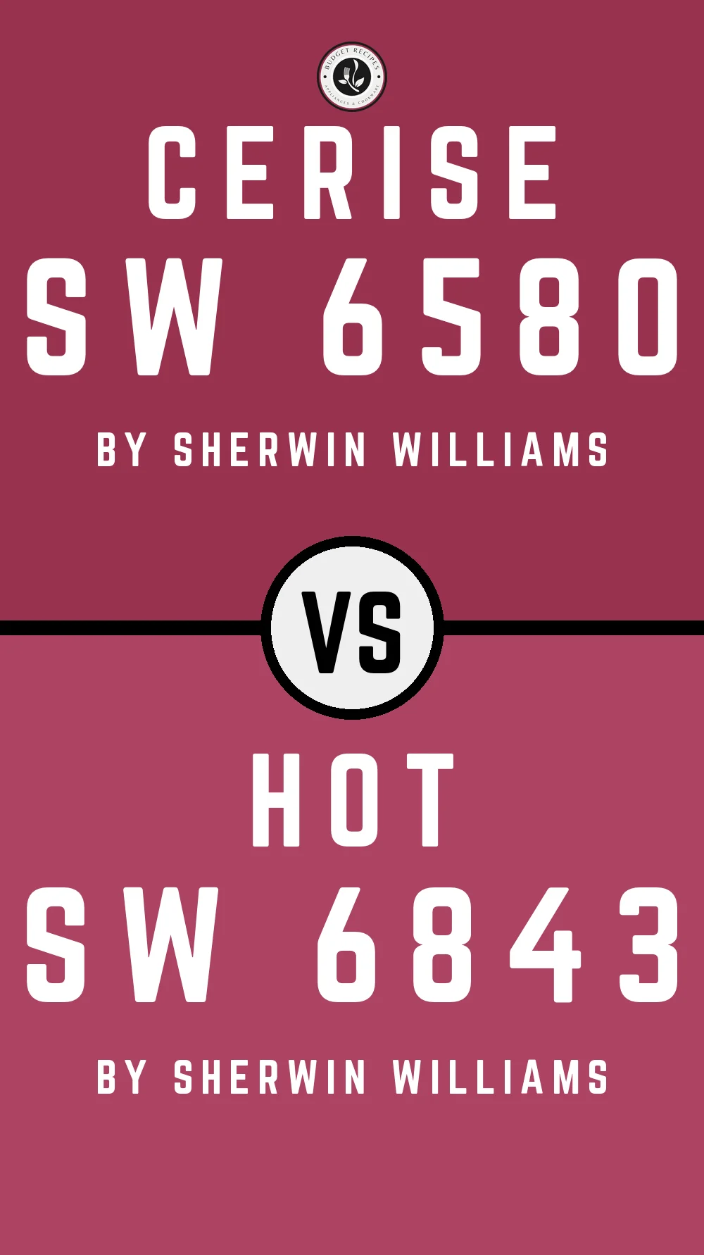 Cerise SW 6580 vs Hot SW 6843