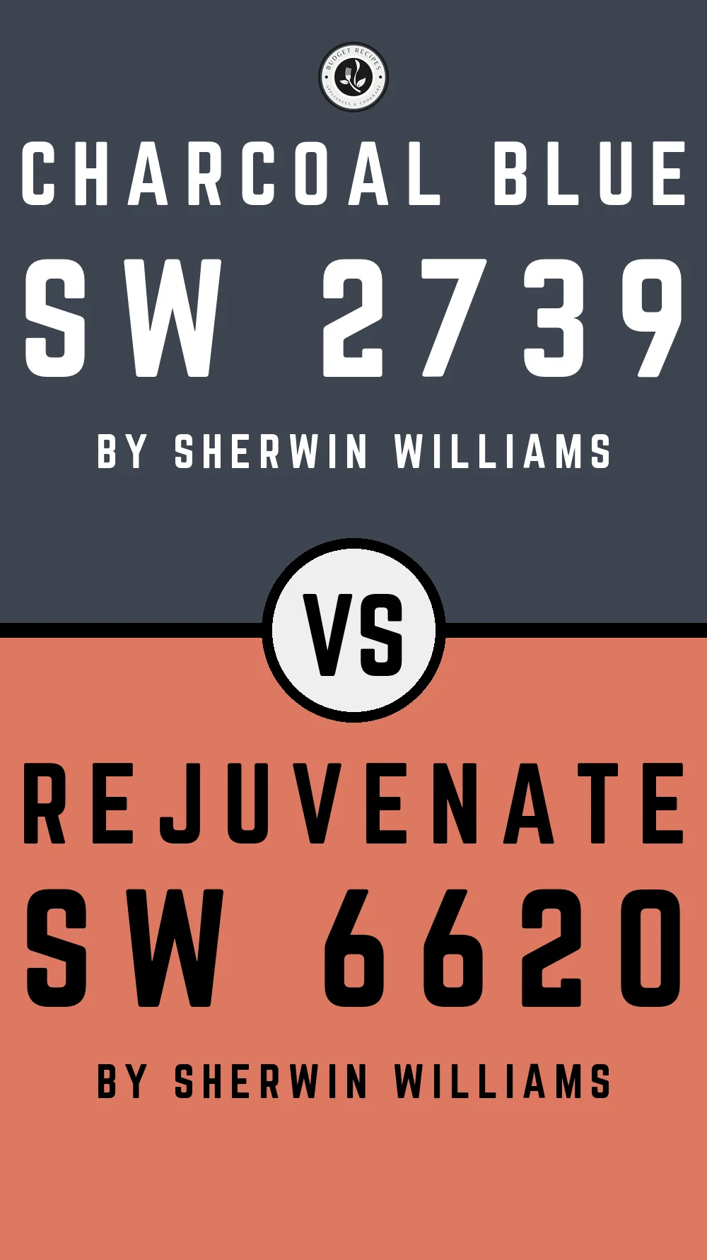 Charcoal Blue by Sherwin Williams SW 2739 with Rejuvenate SW 6620