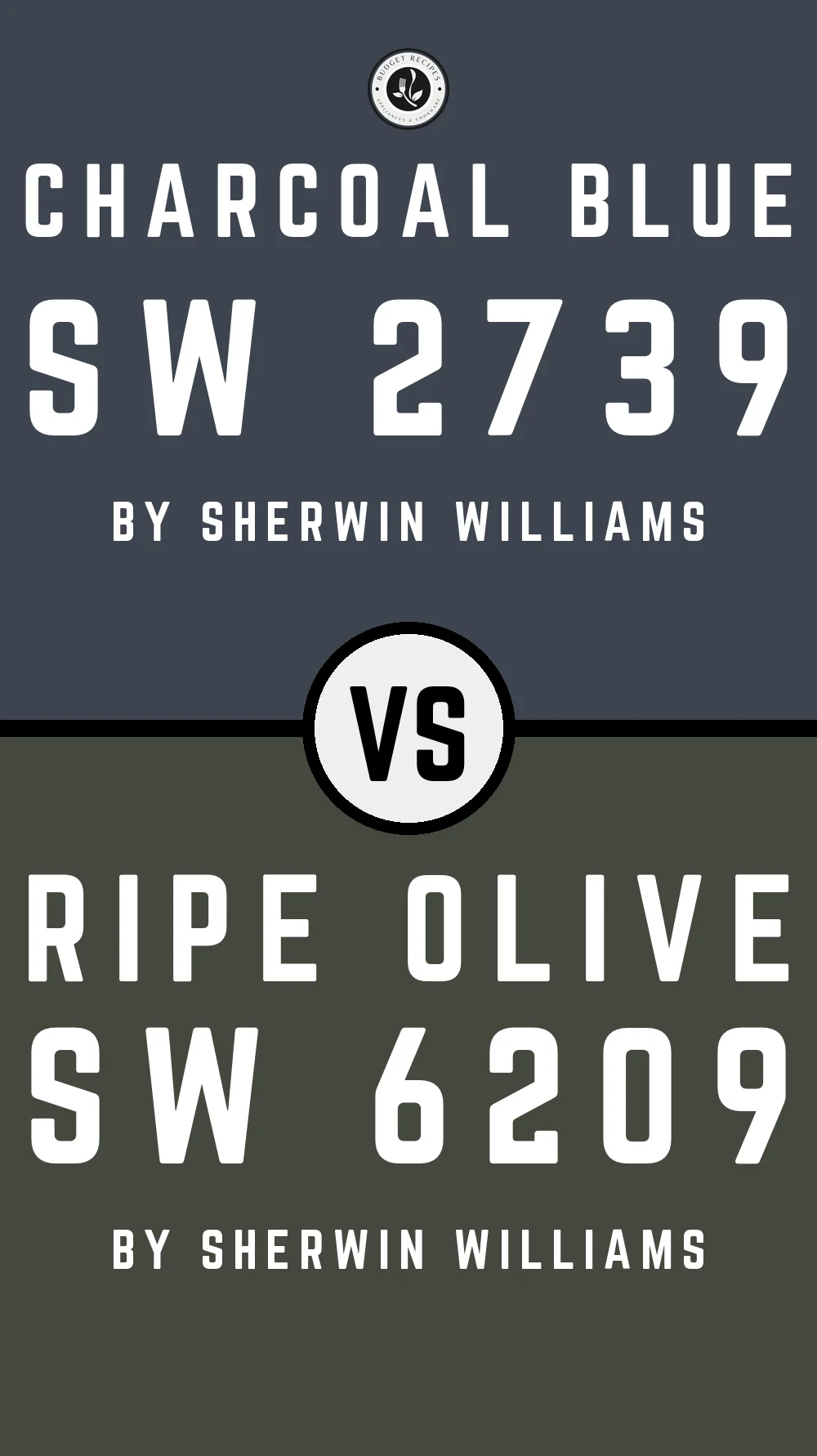 Charcoal Blue by Sherwin Williams SW 2739 with Ripe Olive SW 6209
