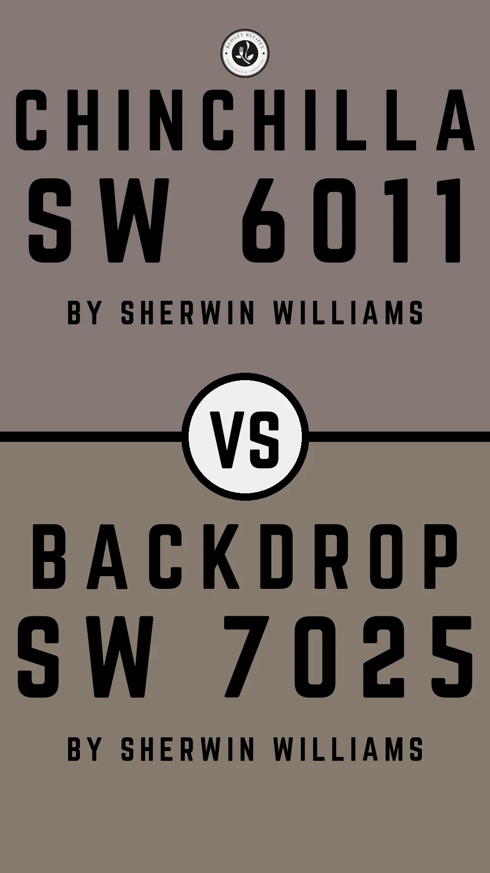 Chinchilla SW 6011 vs Backdrop SW 7025