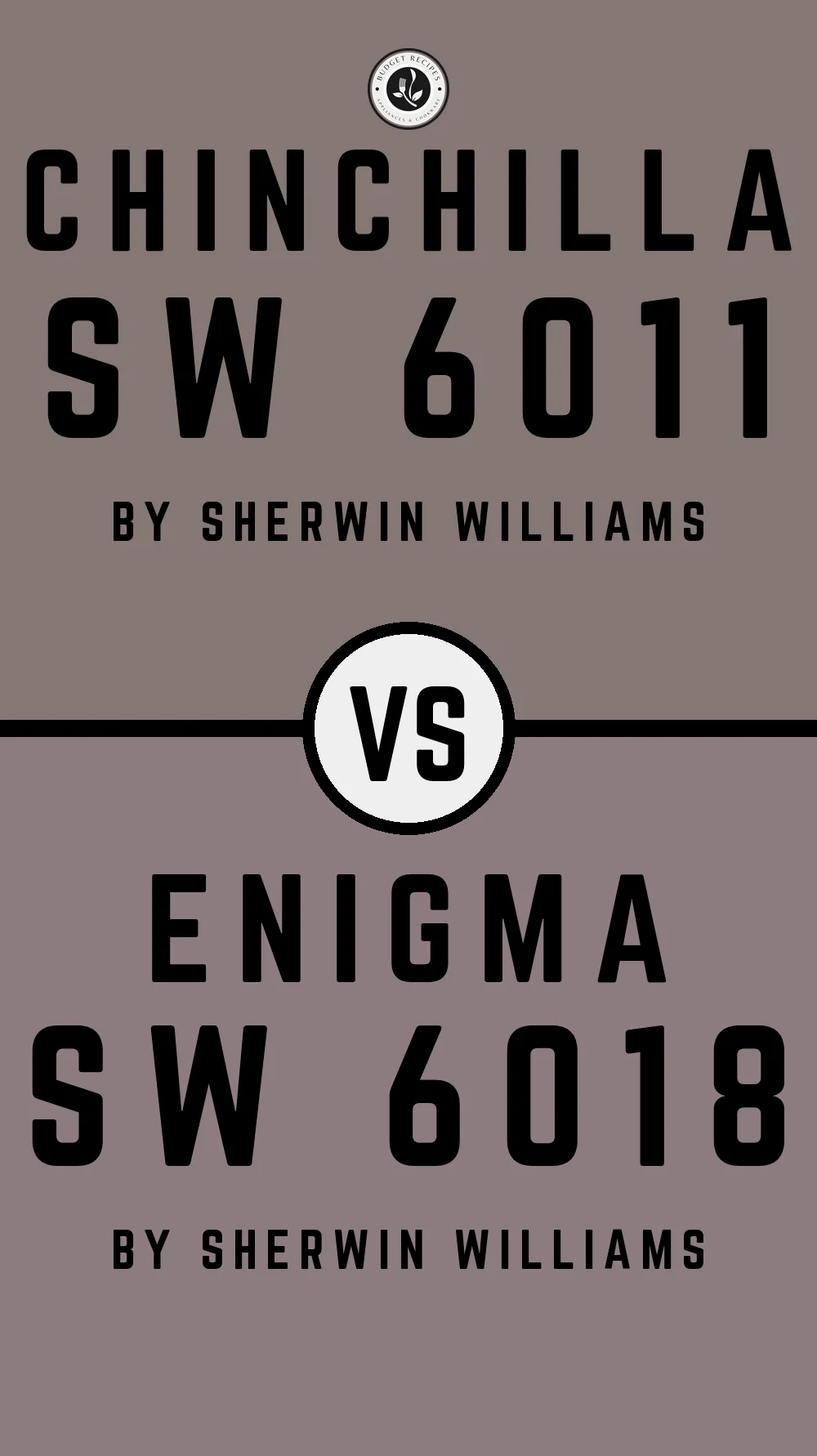 Chinchilla SW 6011 vs Enigma SW 6018