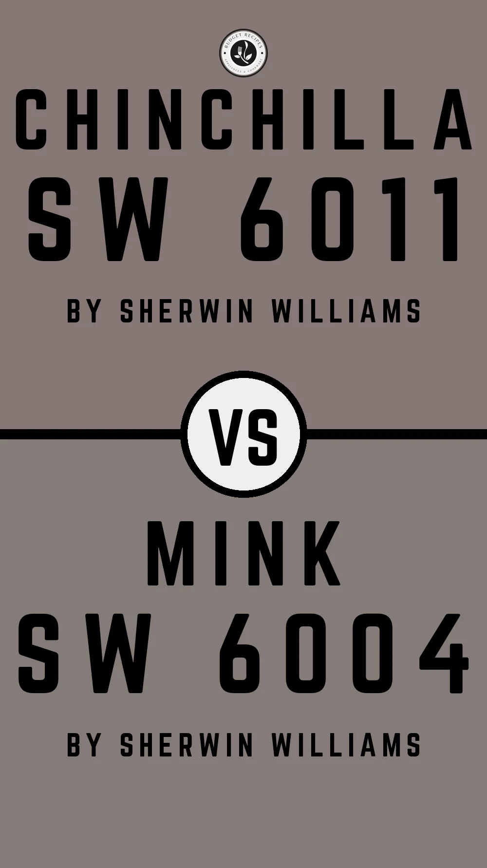 Chinchilla SW 6011 vs Mink SW 6004
