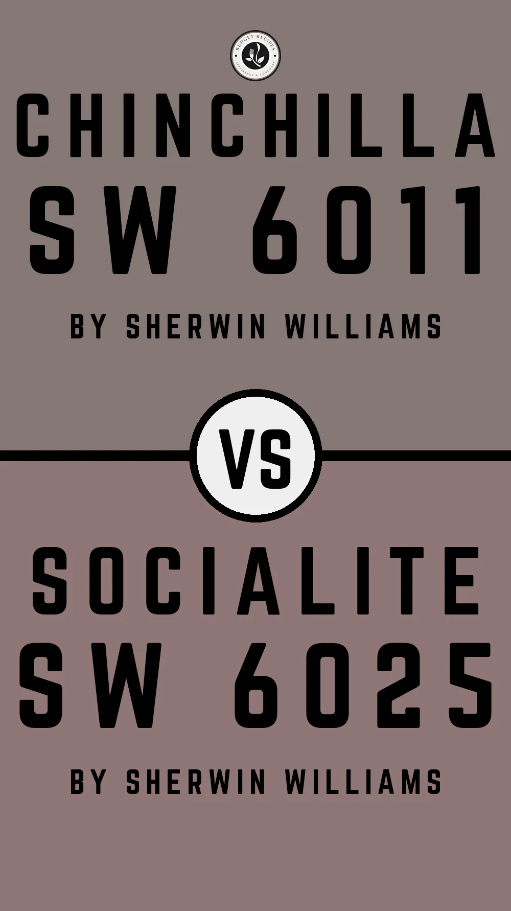 Chinchilla SW 6011 vs Socialite SW 6025