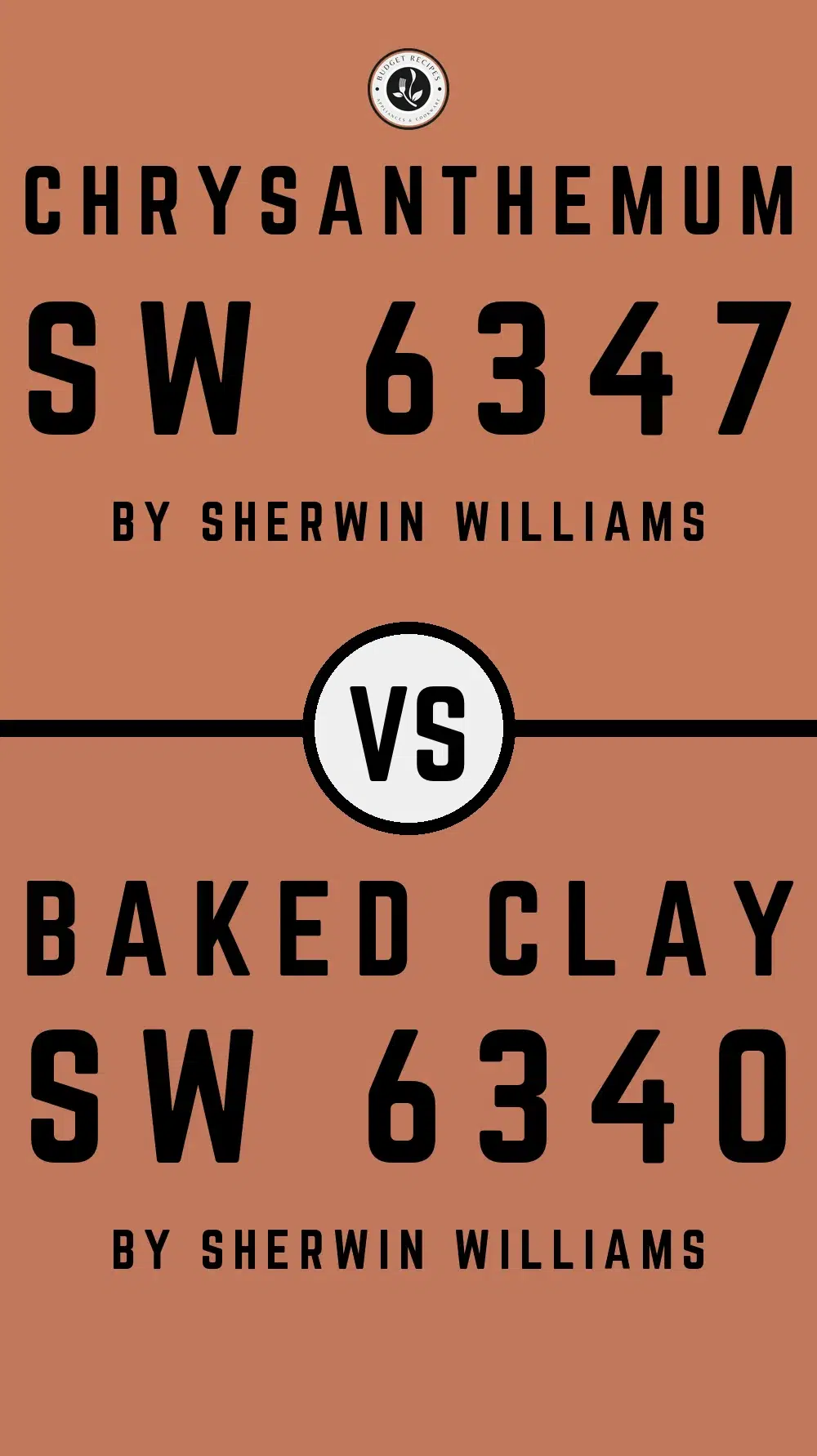 Chrysanthemum SW 6347 vs Baked Clay SW 6340