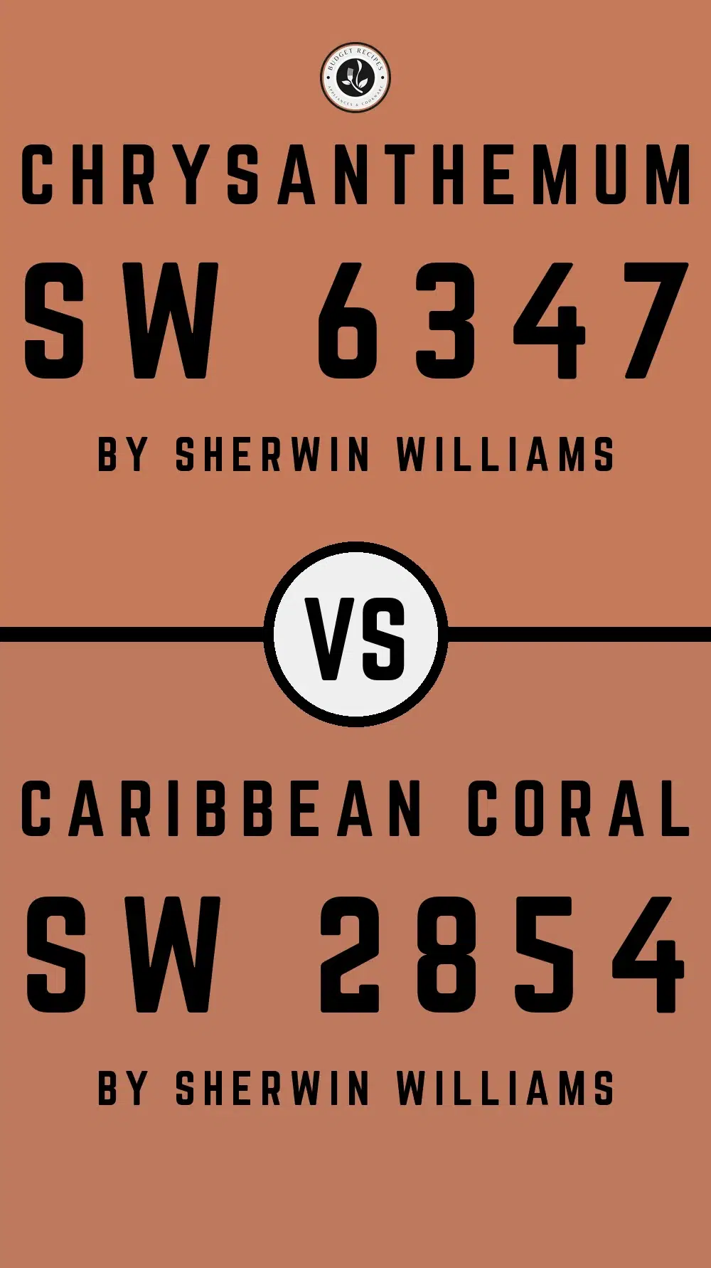 Chrysanthemum SW 6347 vs Caribbean Coral SW 2854
