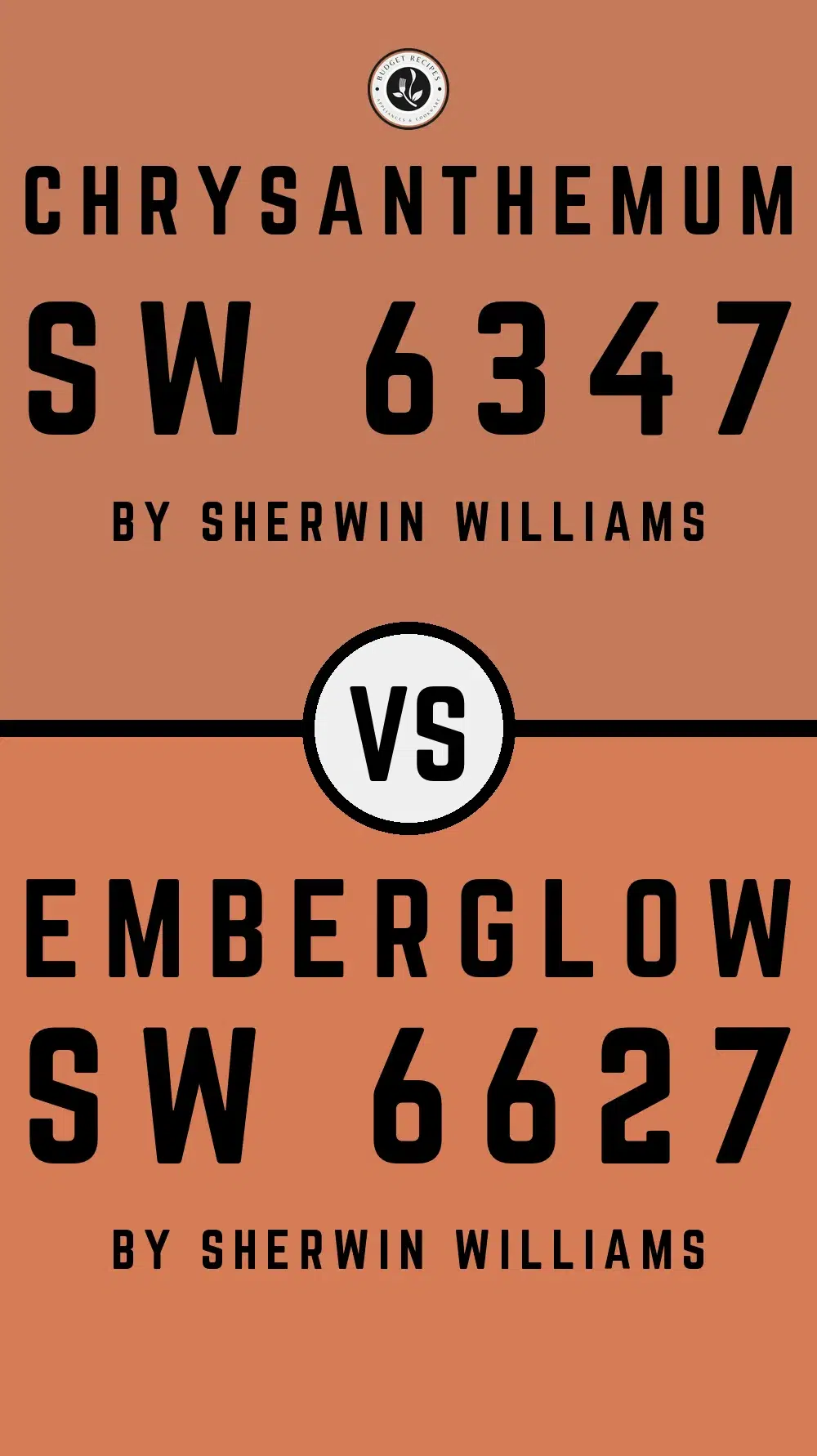 Chrysanthemum SW 6347 vs Emberglow SW 6627