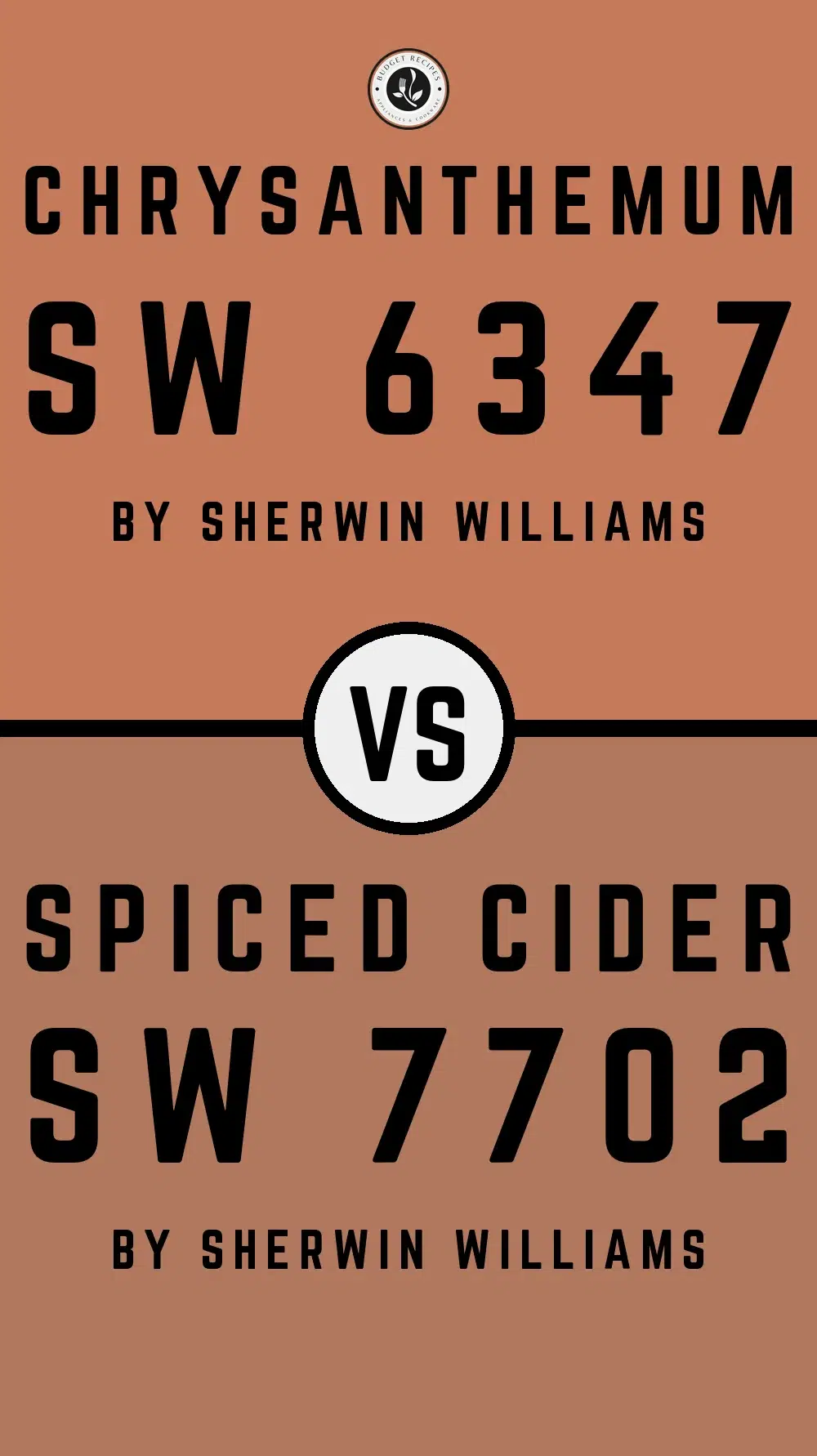 Chrysanthemum SW 6347 vs Spiced Cider SW 7702