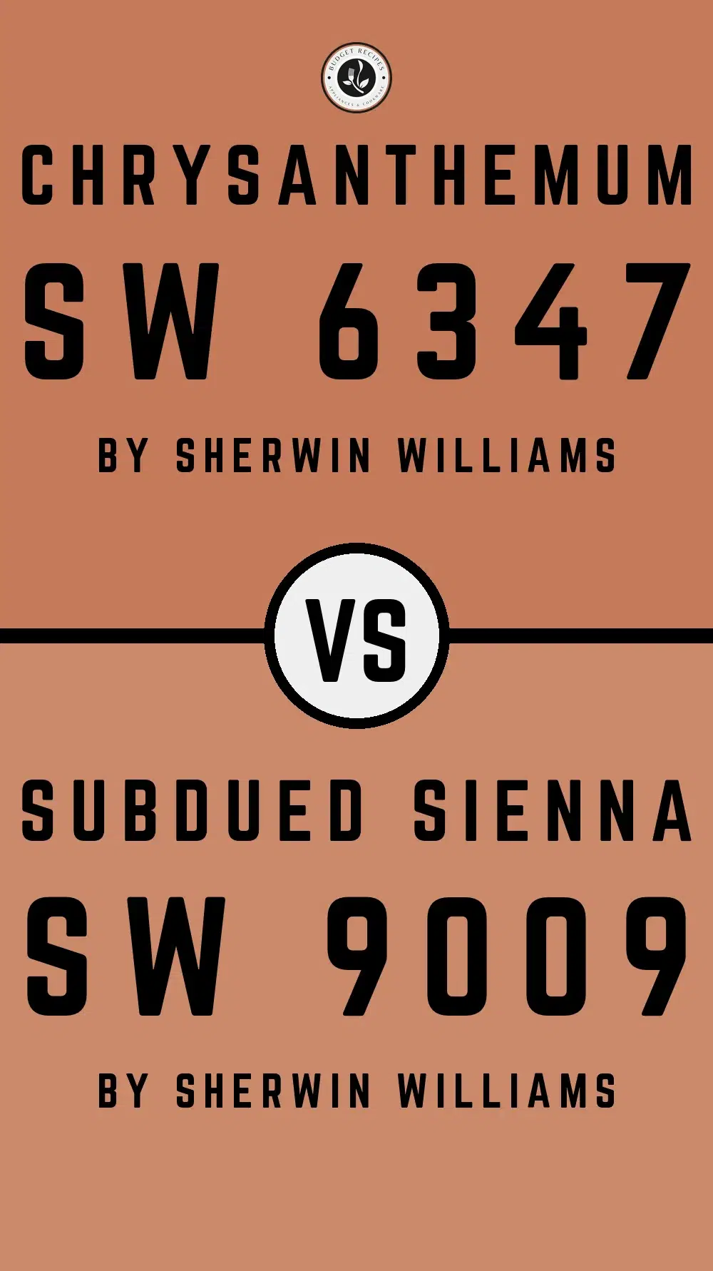 Chrysanthemum SW 6347 vs Subdued Sienna SW 9009