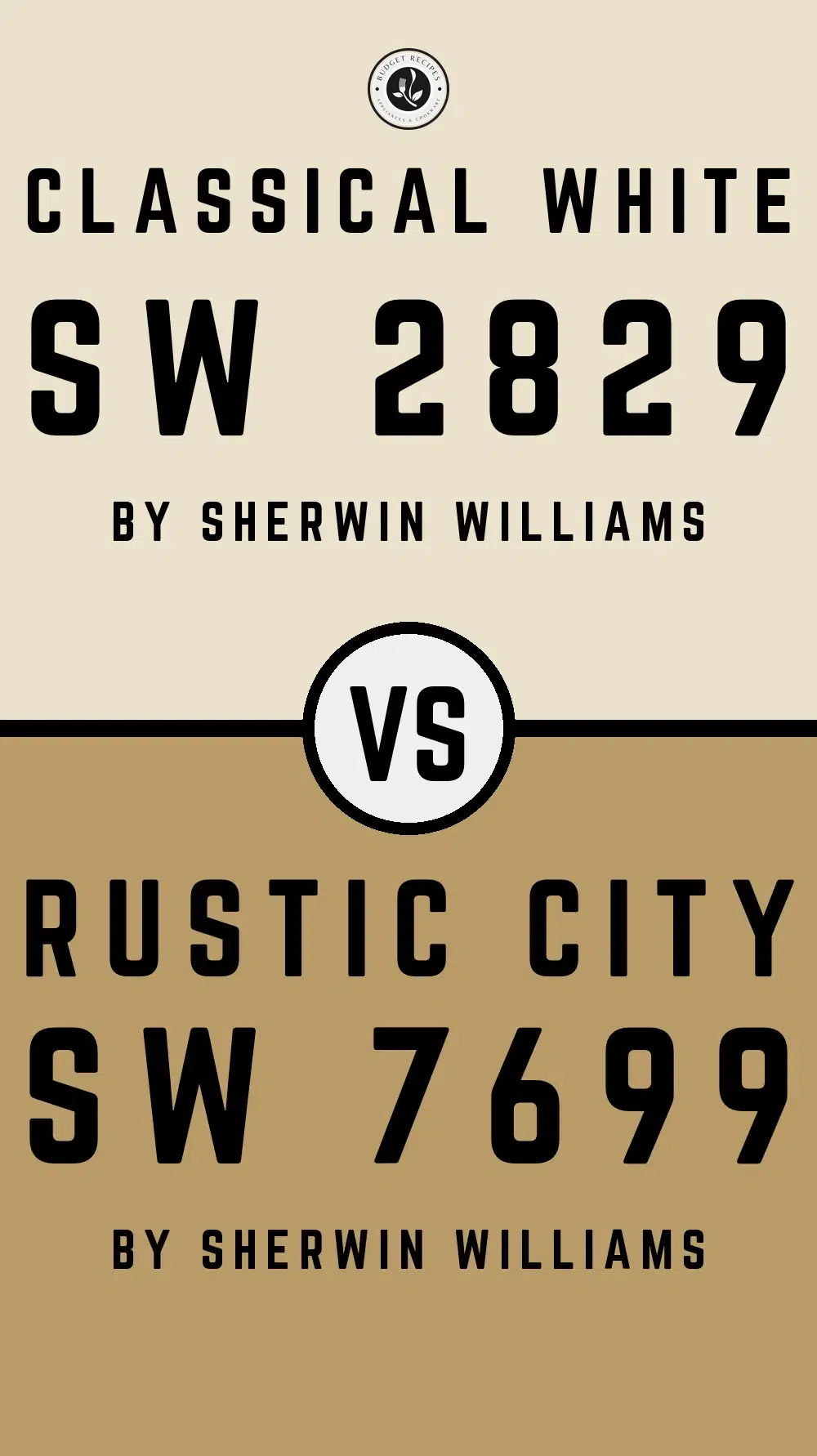 Classical White SW 2829 vs Rustic City SW 7699