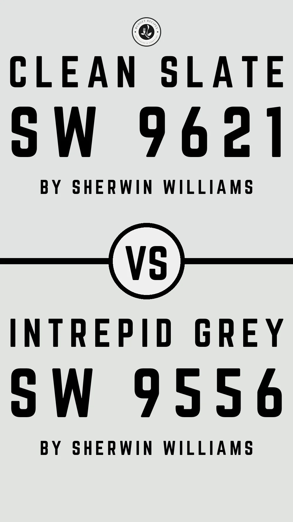 Clean Slate SW 9621 vs Intrepid Grey SW 9556