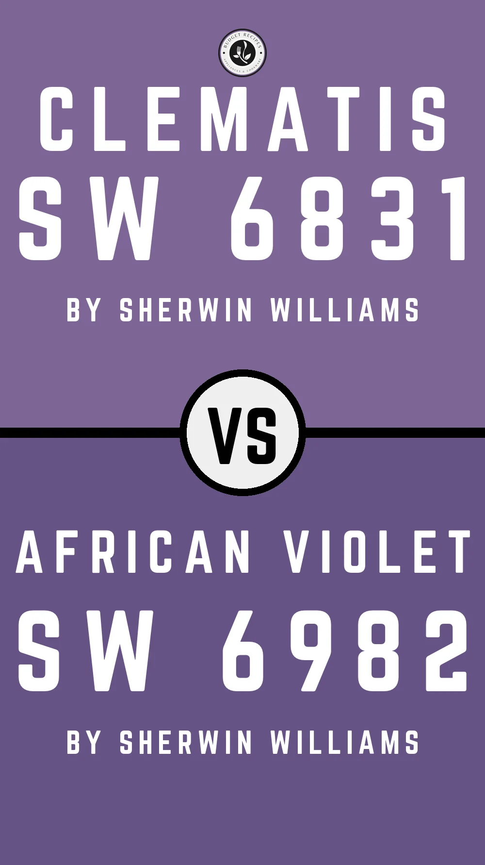 Clematis SW 6831 vs African Violet SW 6982