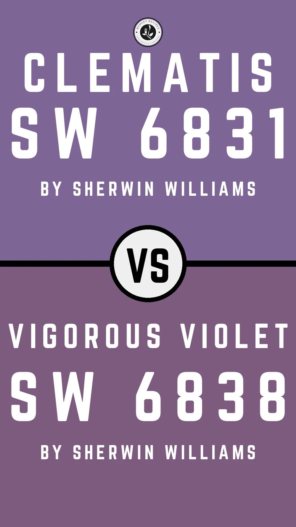 Clematis SW 6831 vs Vigorous Violet SW 6838