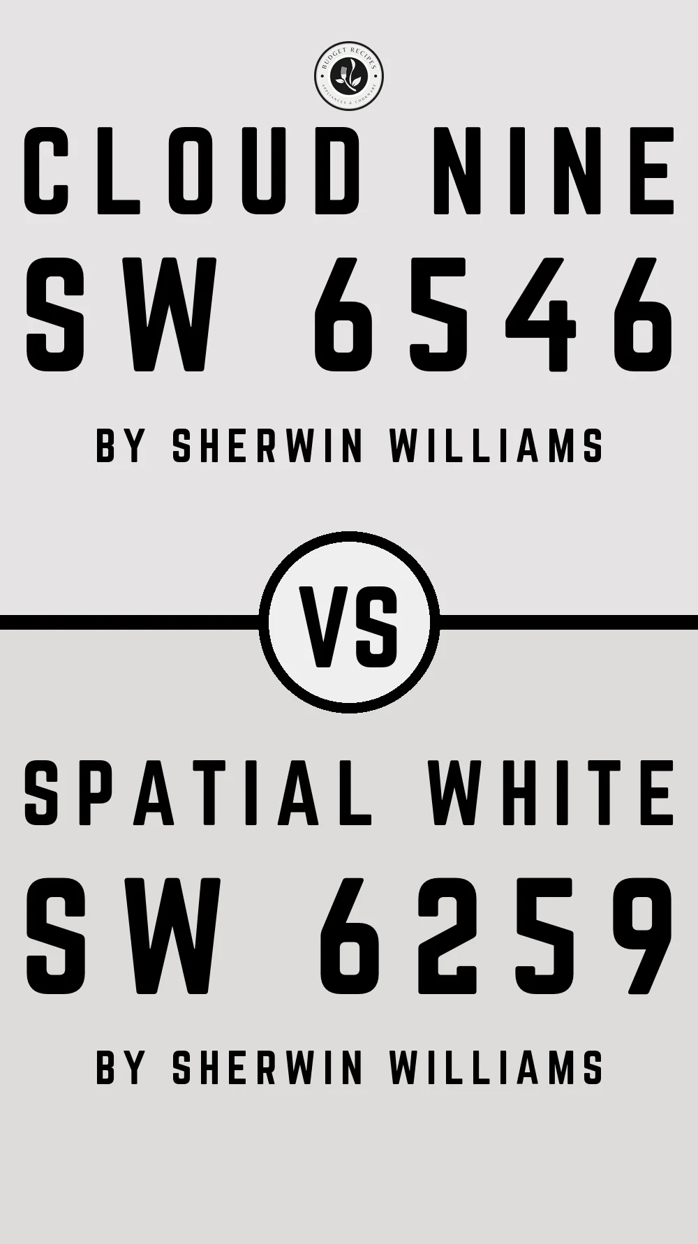 Cloud Nine SW 6546 vs Spatial White SW 6259