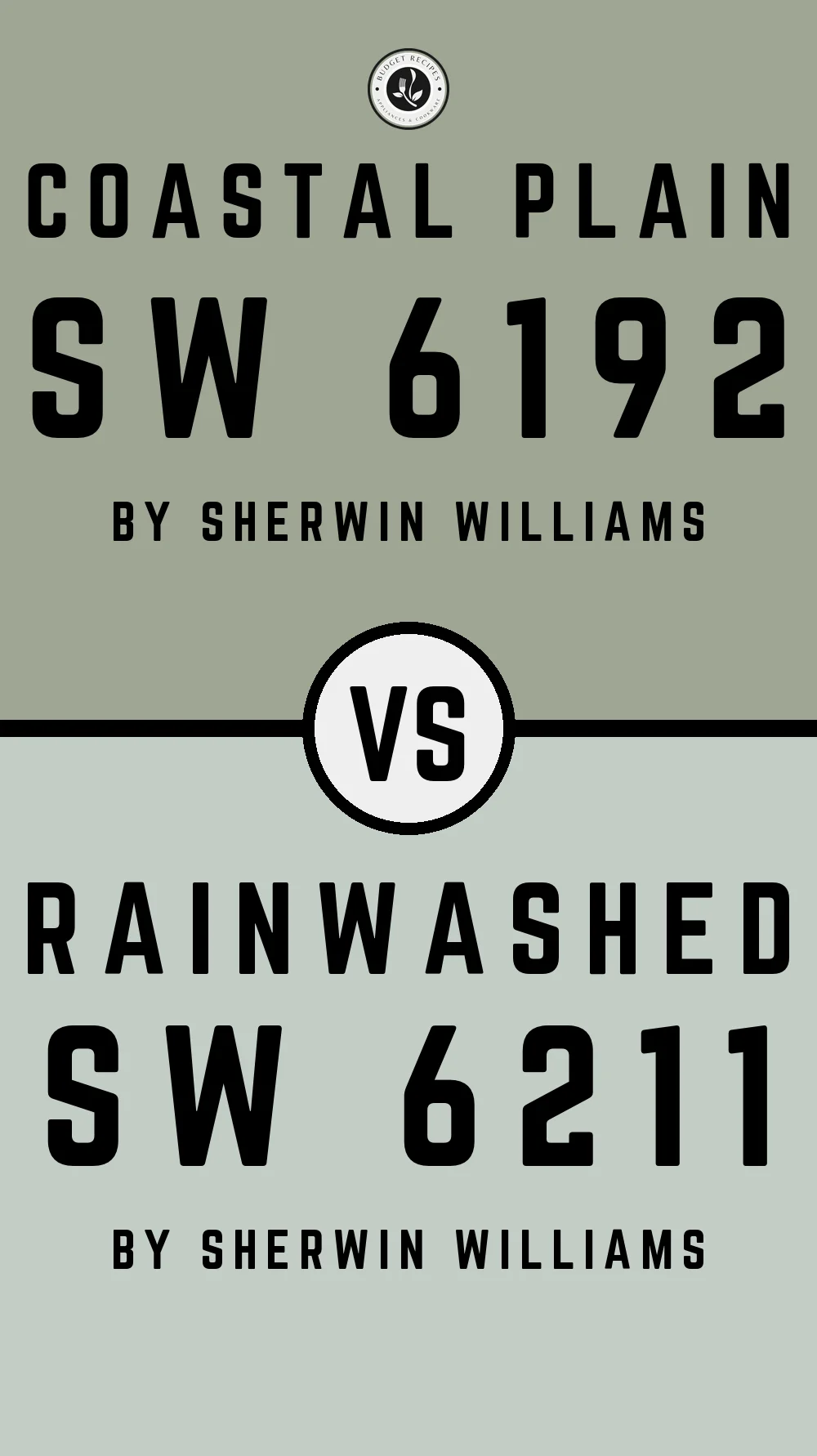 Coastal Plain by Sherwin Williams SW 6192 vs Rainwashed SW 6211