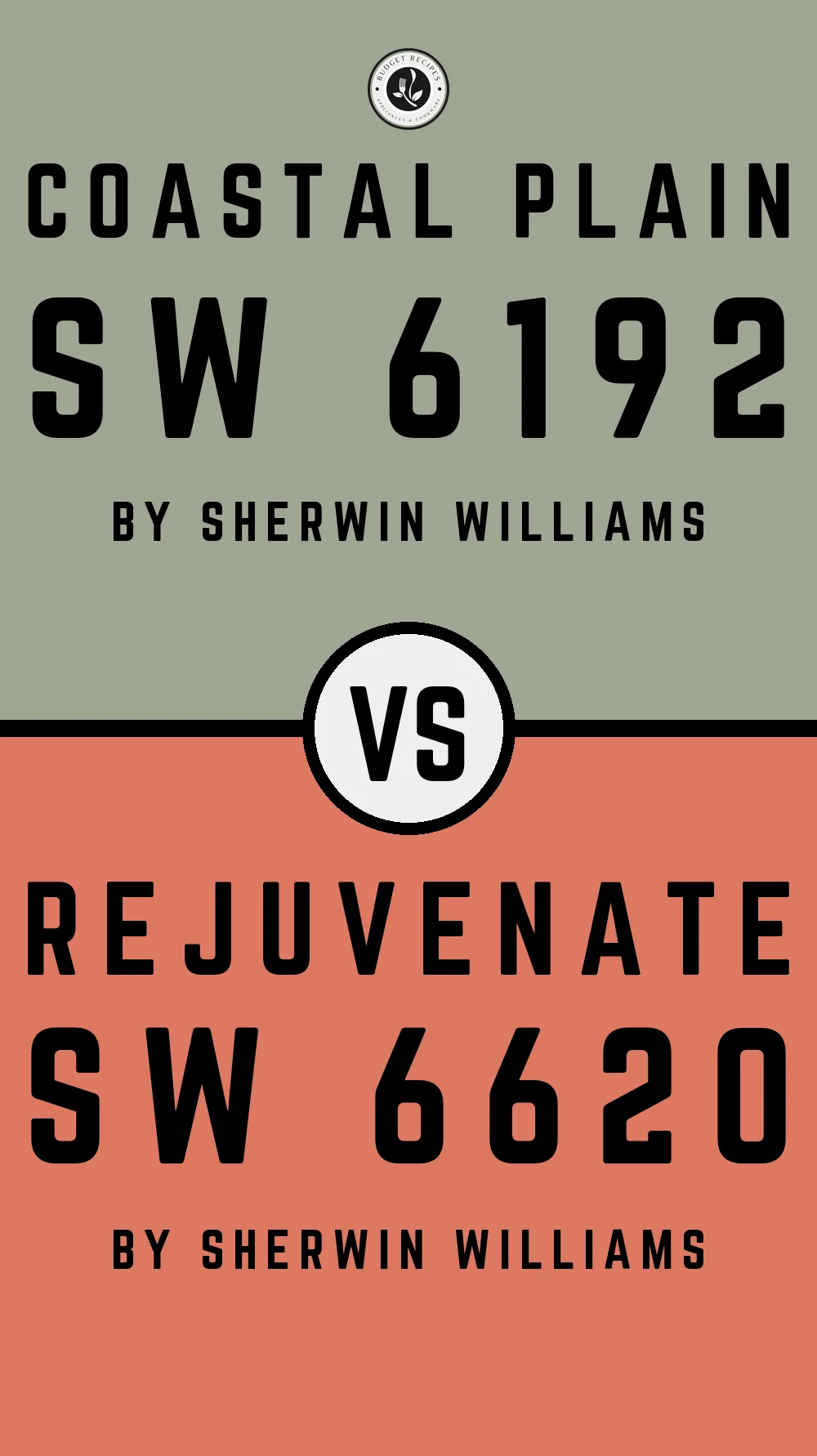 Coastal Plain by Sherwin Williams SW 6192 With Rejuvenate SW 6620