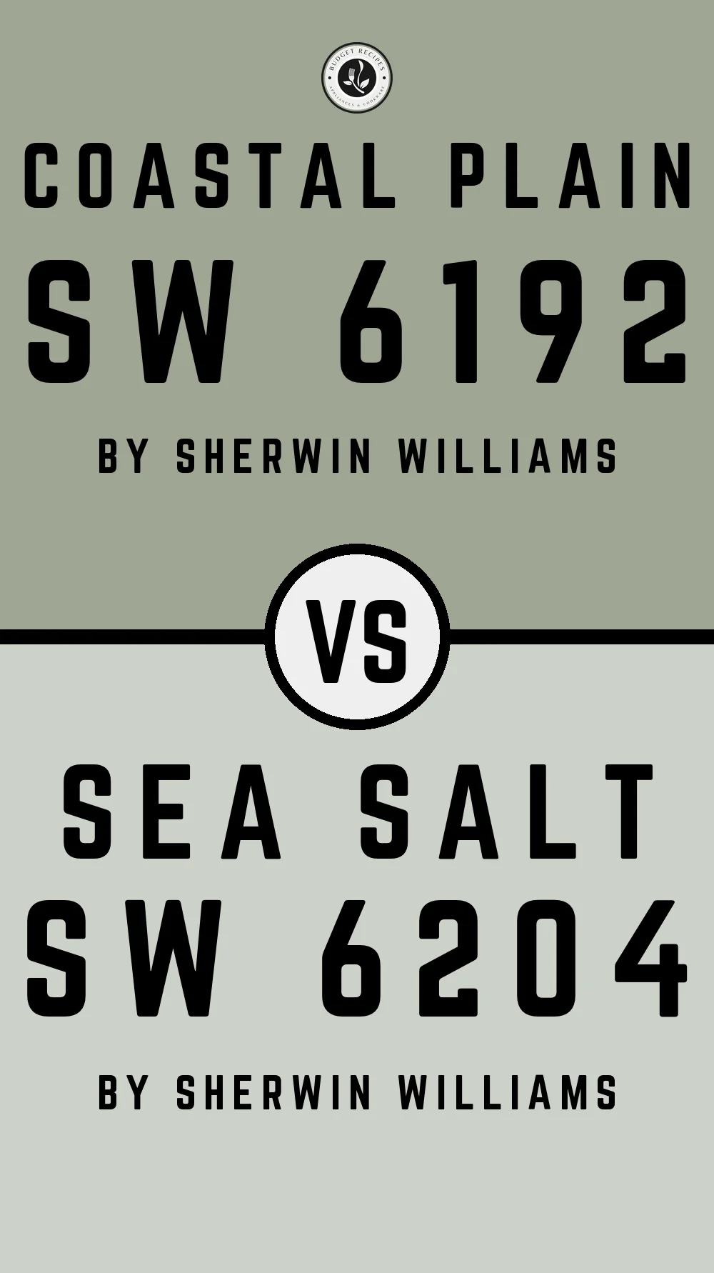 Coastal Plain by Sherwin Williams SW 6192 vs Sea Salt SW 6204