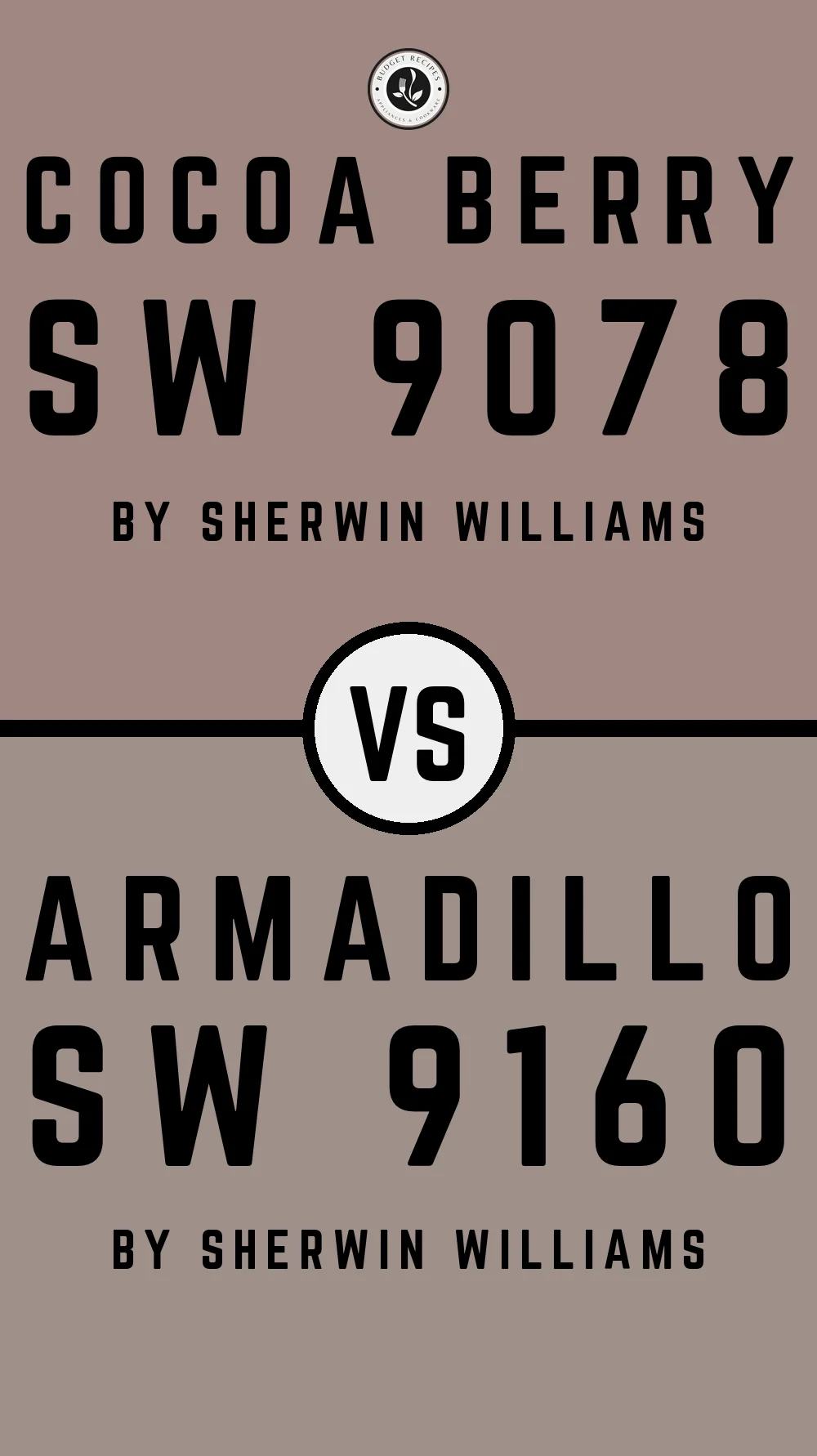 Cocoa Berry SW 9078 vs Armadillo SW 9160