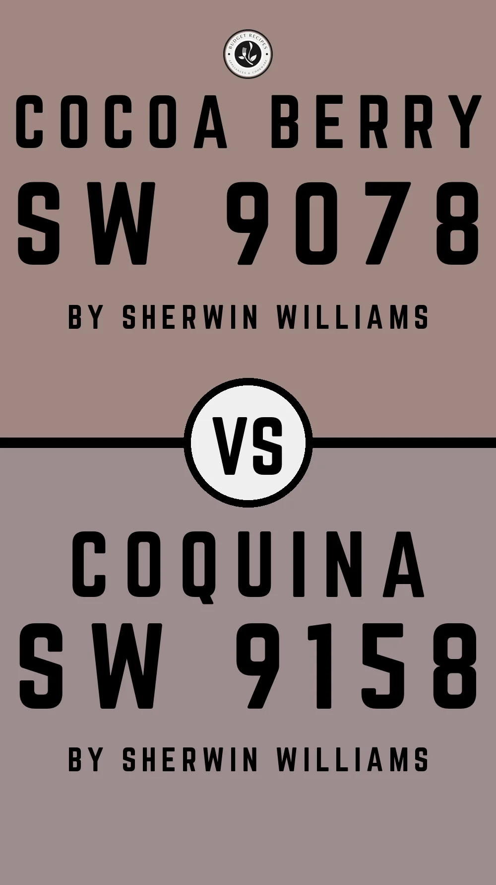 Cocoa Berry SW 9078 vs Coquina SW 9158