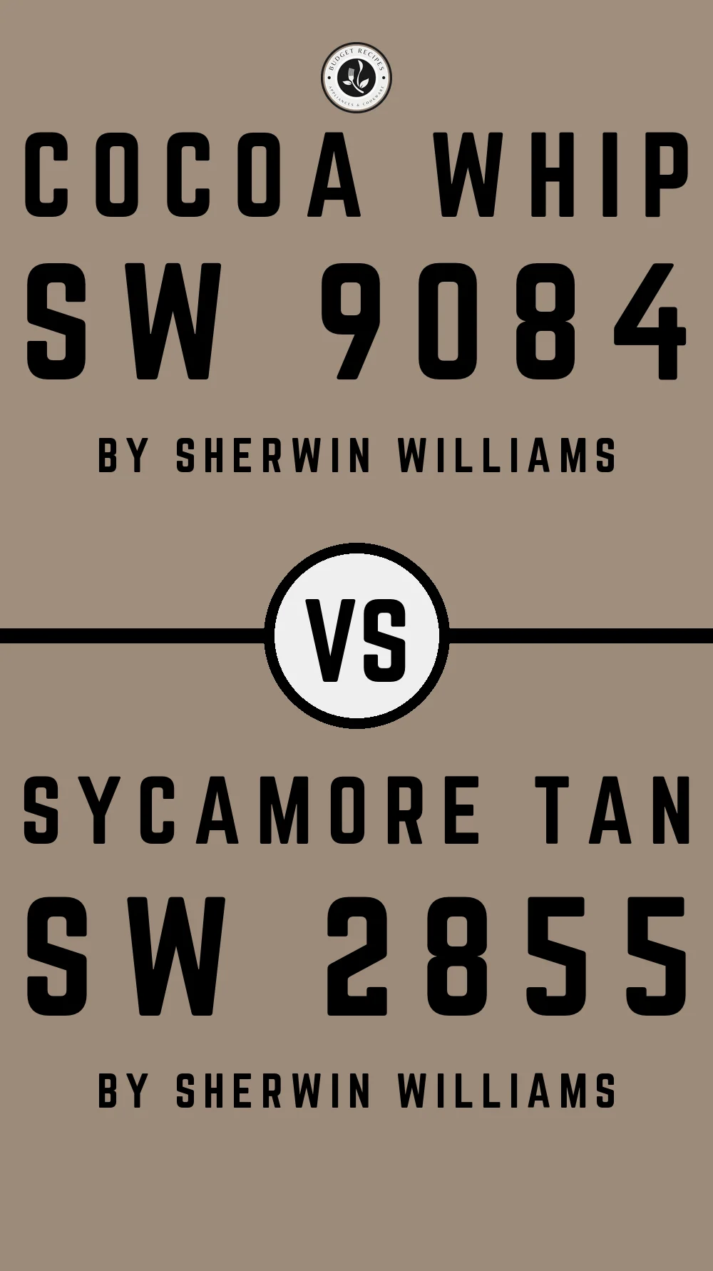 Cocoa Whip SW 9084 vs Sycamore Tan SW 2855