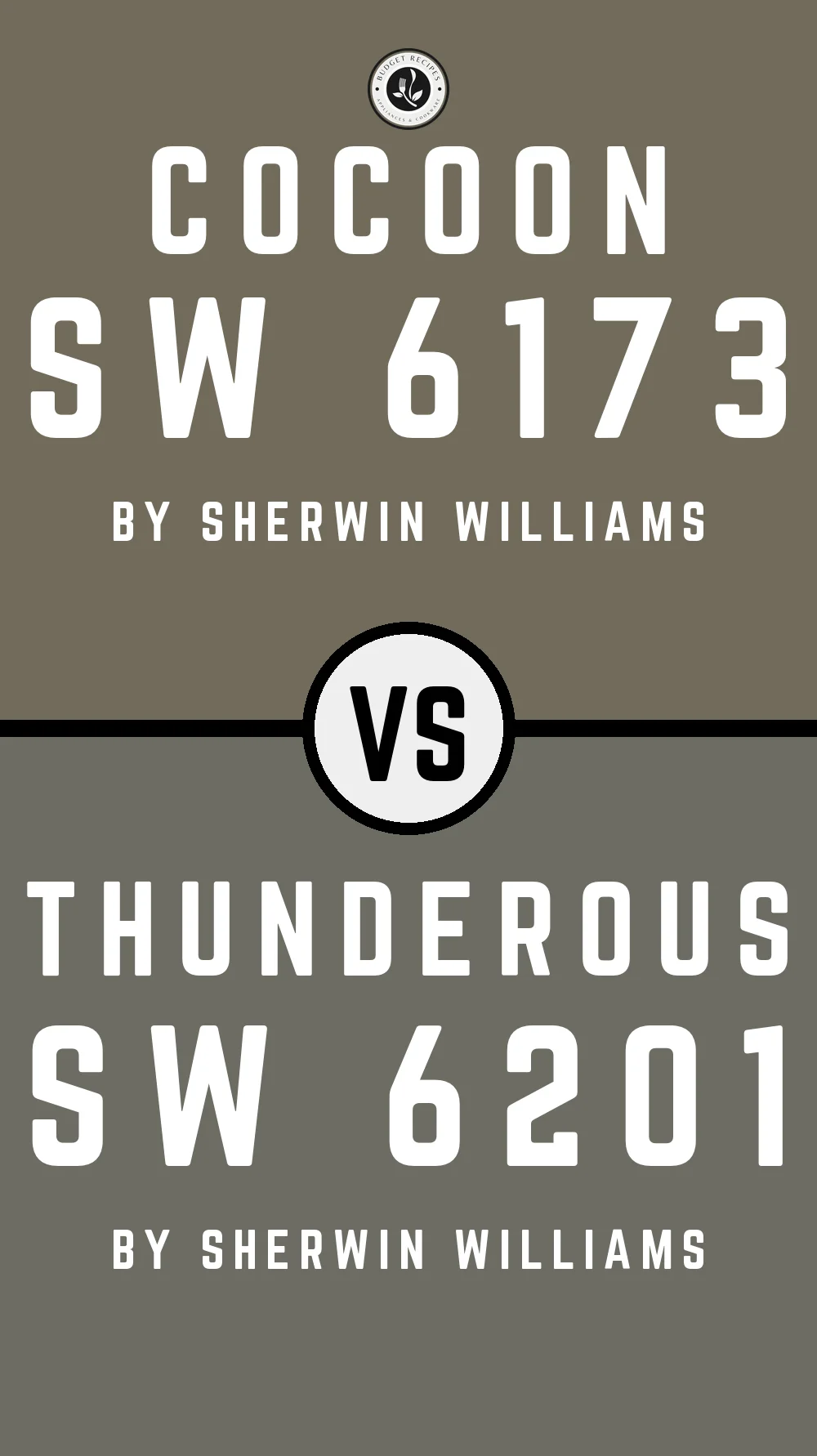 Cocoon SW 6173 vs Thunderous SW 6201