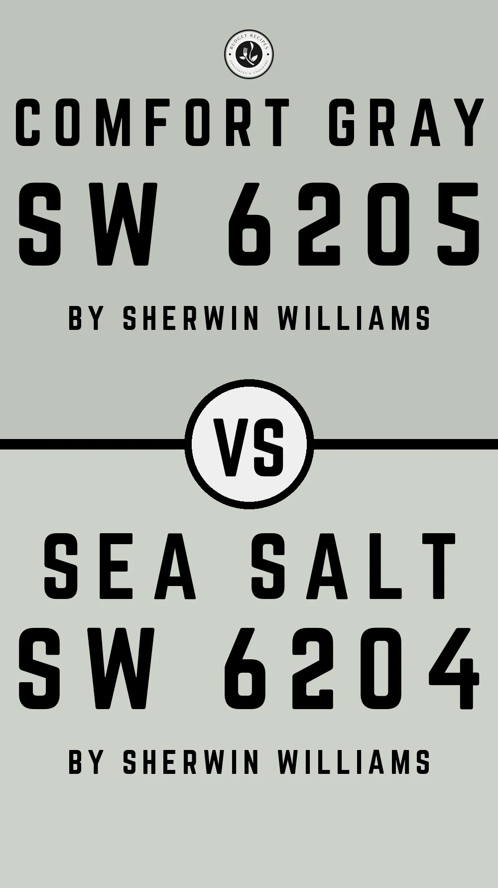 Comfort Gray SW 6205 vs Sea Salt SW 6204