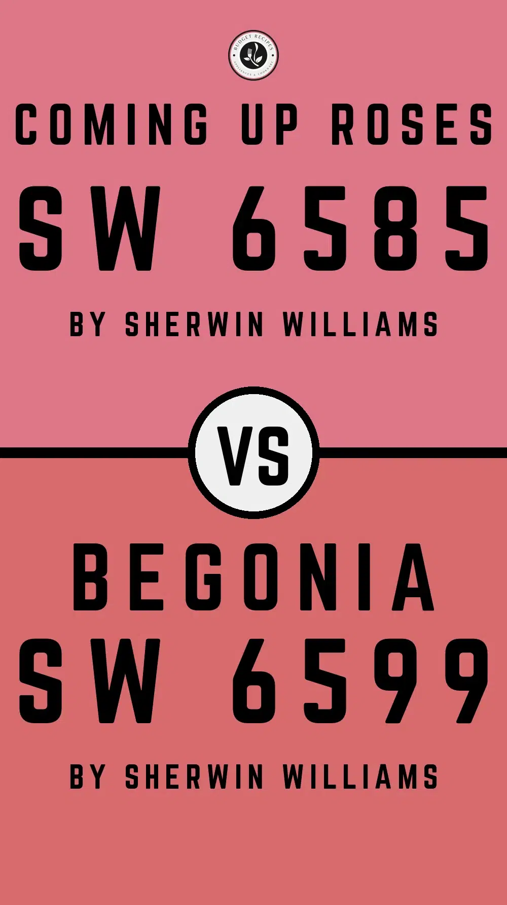 Coming Up Roses SW 6585 vs Begonia SW 6599