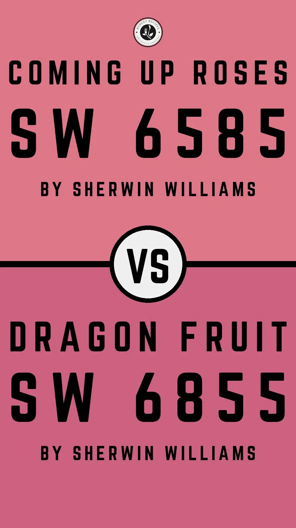 Coming Up Roses SW 6585 vs Dragon Fruit SW 6855