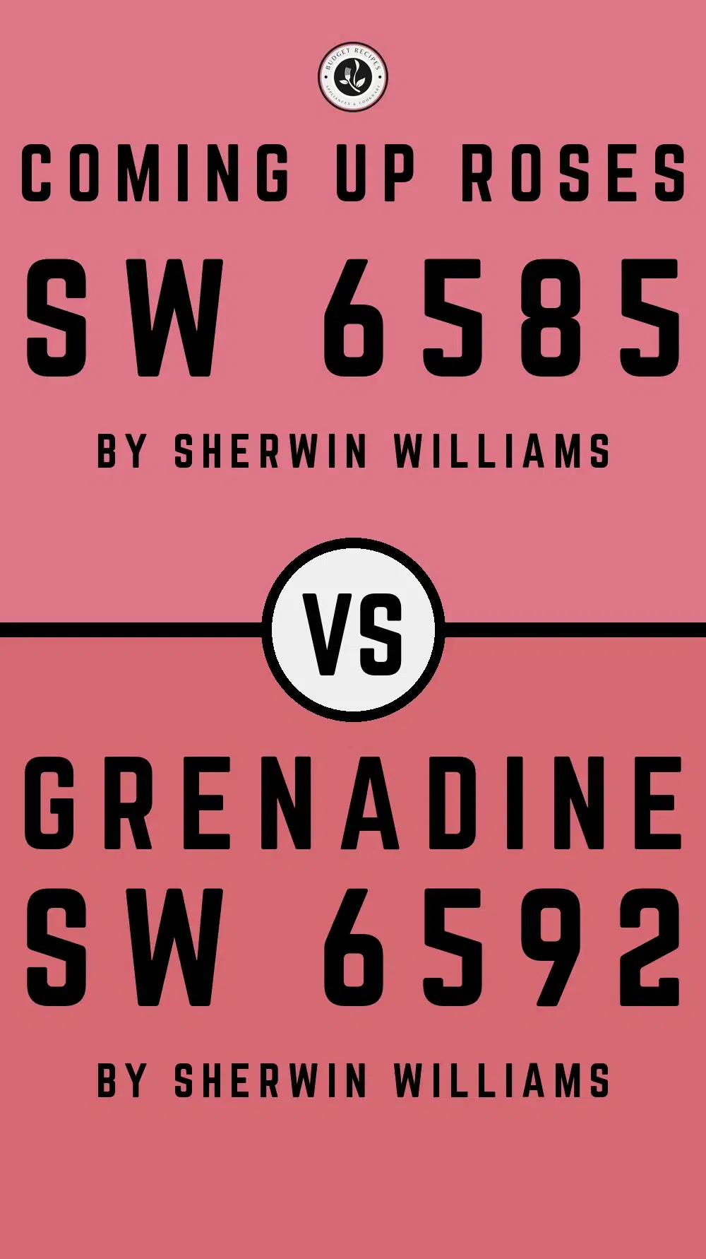 Coming Up Roses SW 6585 vs Grenadine SW 6592