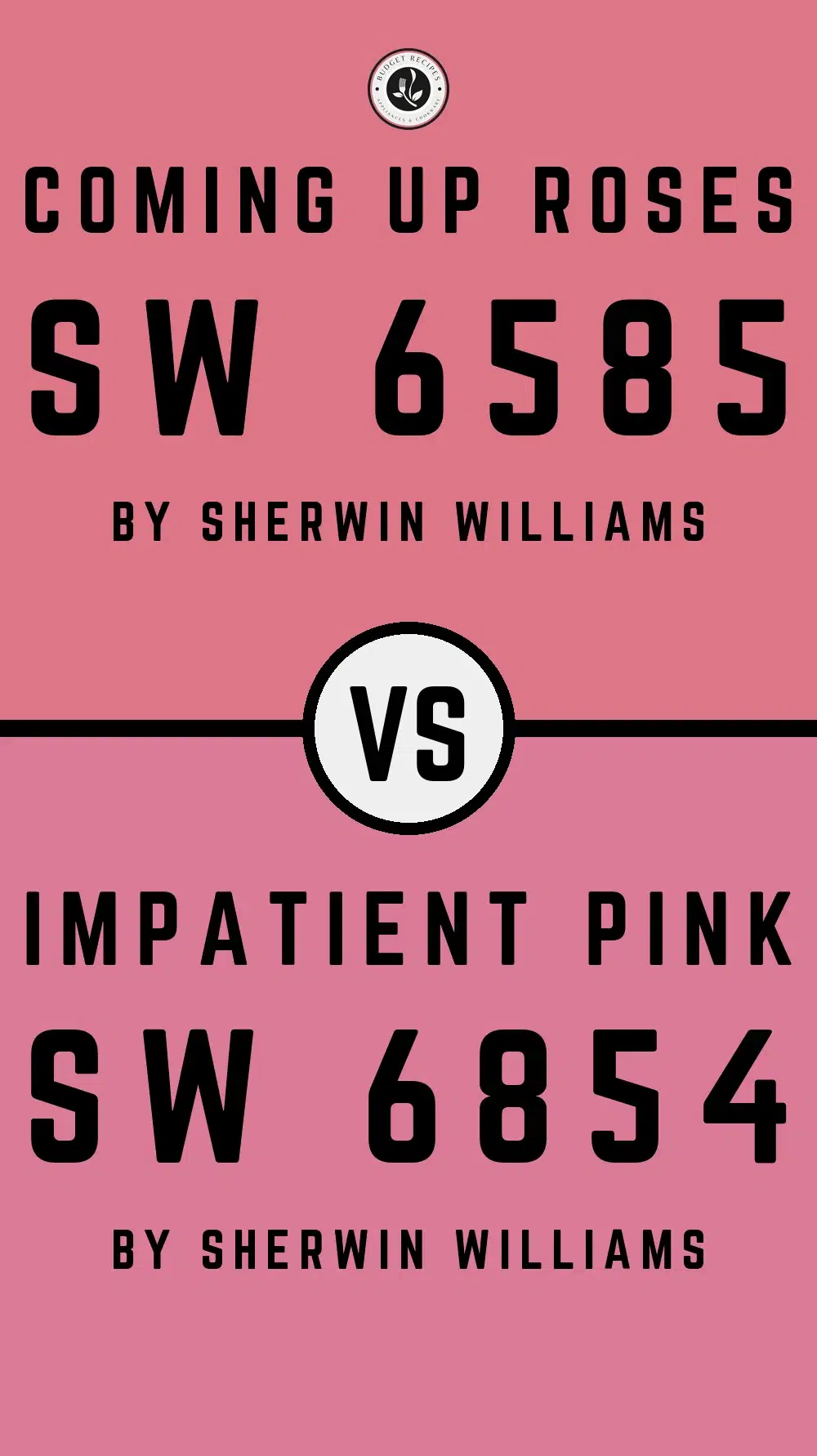 Coming Up Roses SW 6585 vs Impatient Pink SW 6854
