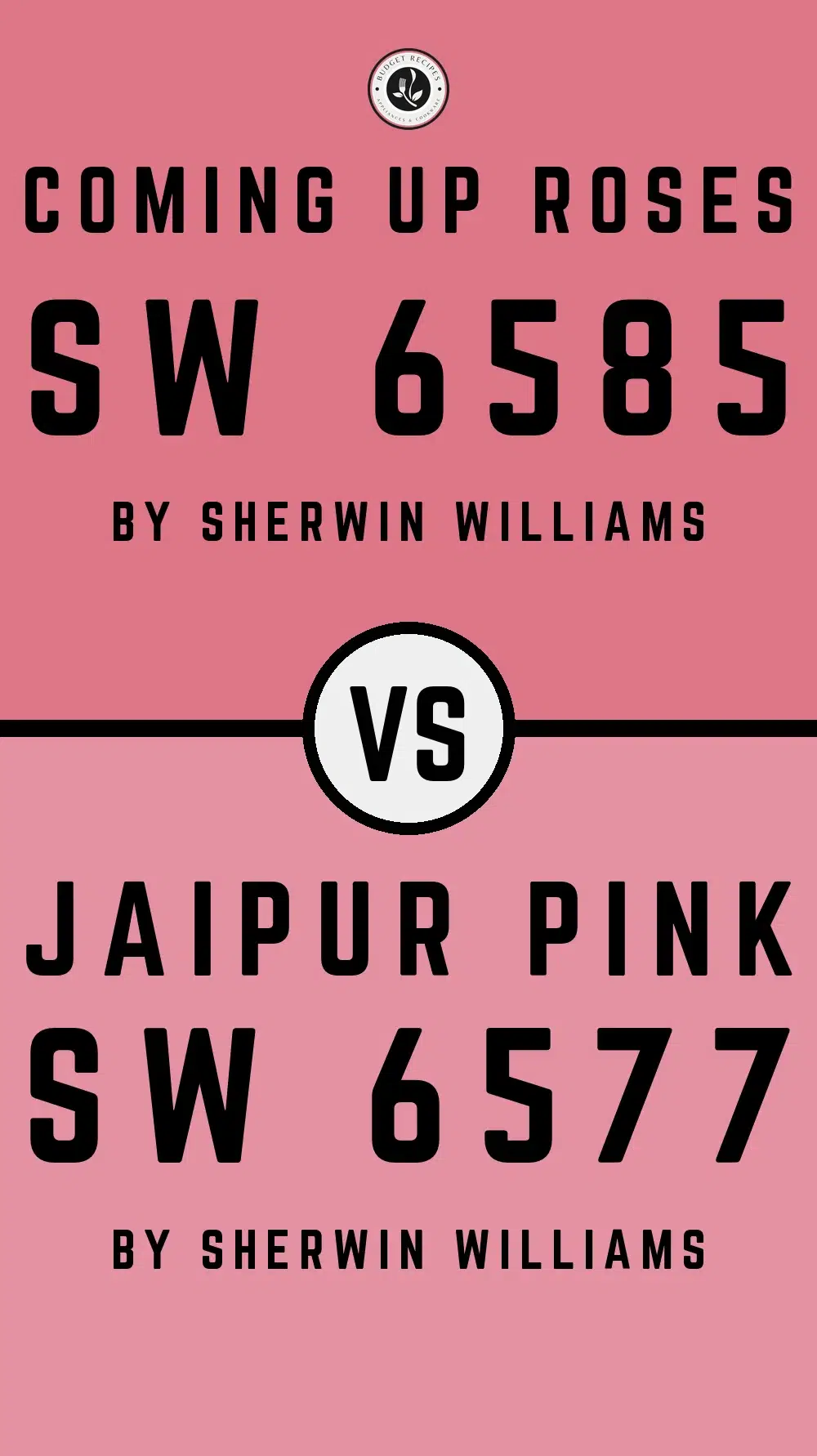 Coming Up Roses SW 6585 vs Jaipur Pink SW 6577