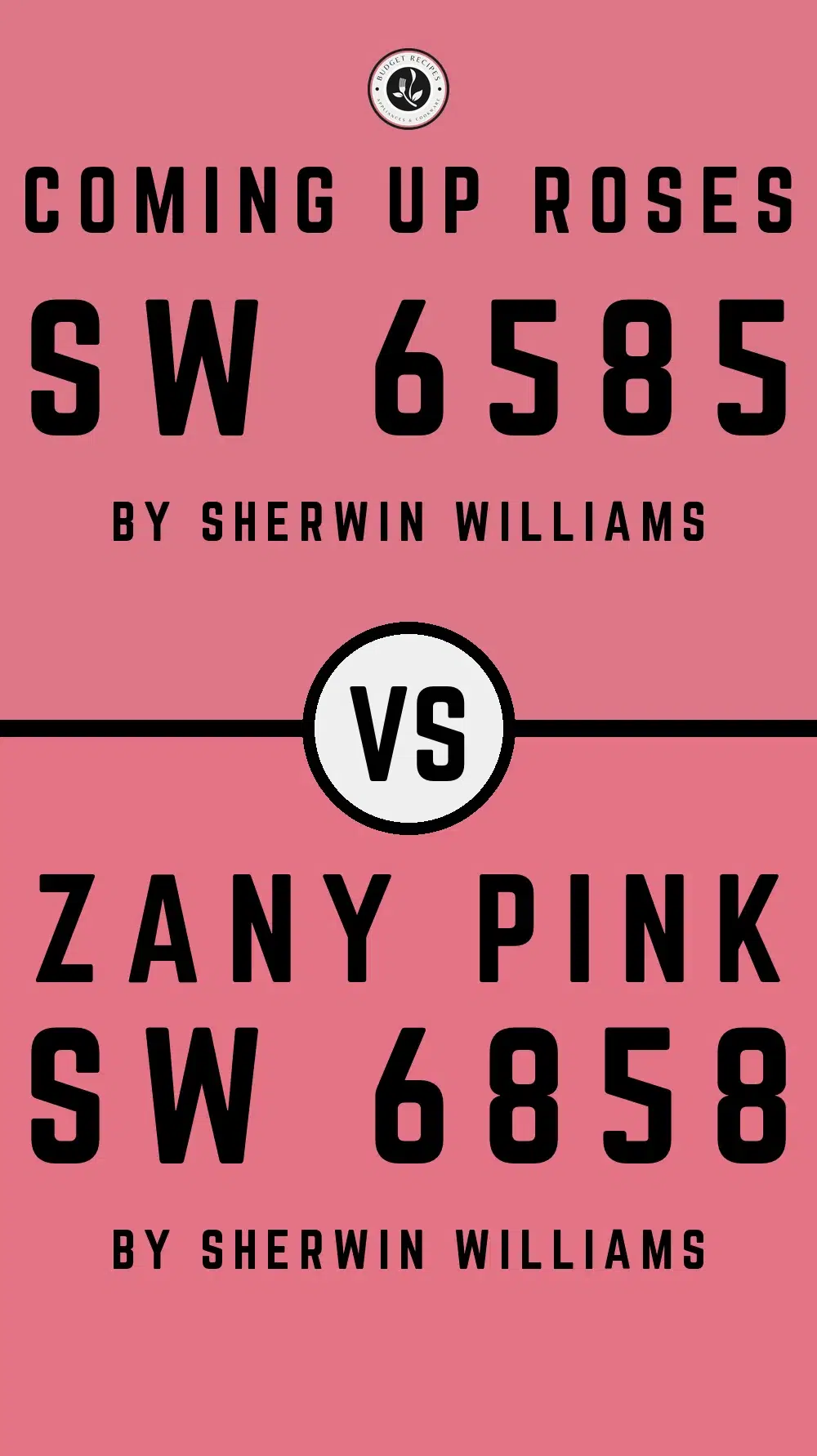 Coming Up Roses SW 6585 vs Zany Pink SW 6858